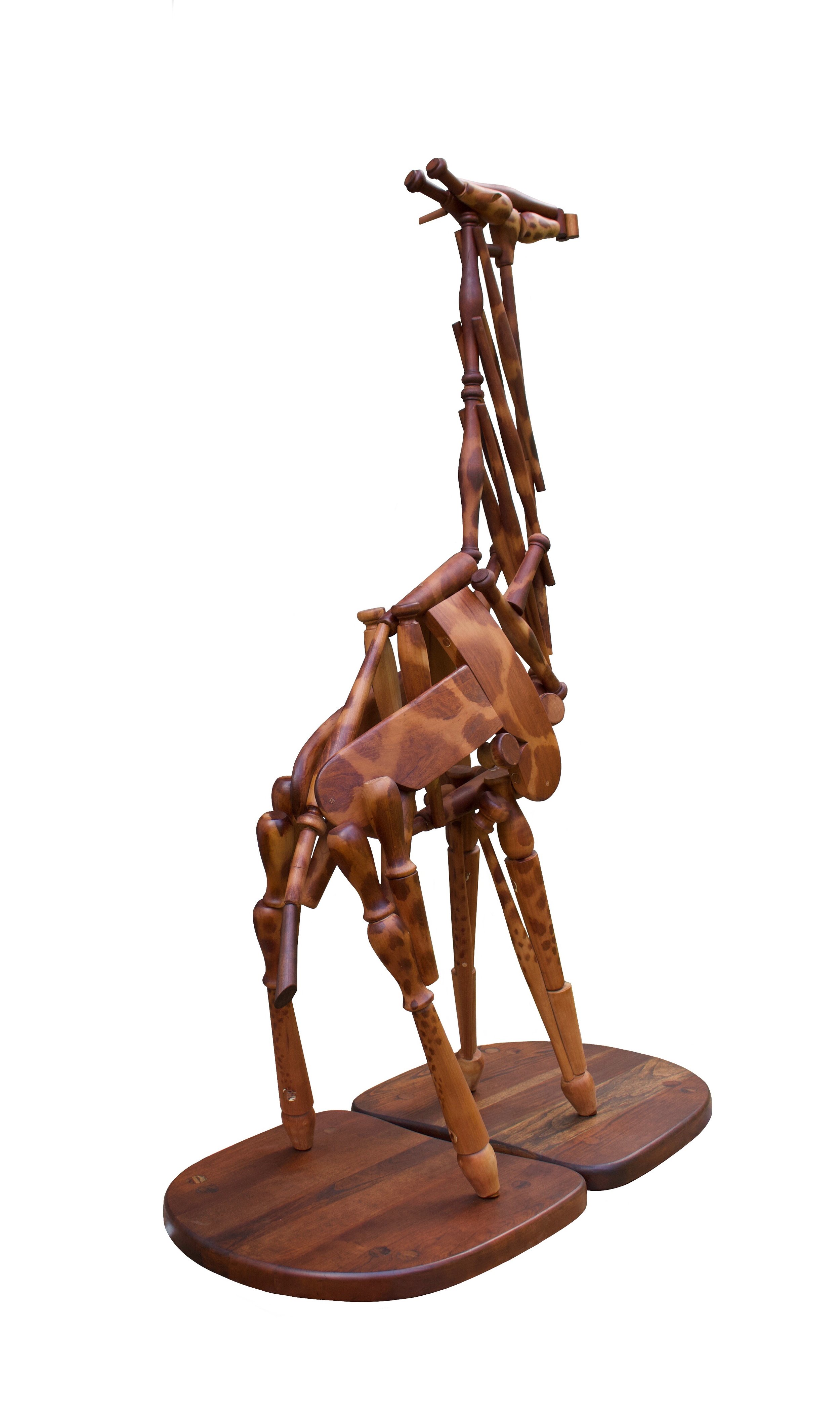 Giraffe3.JPG