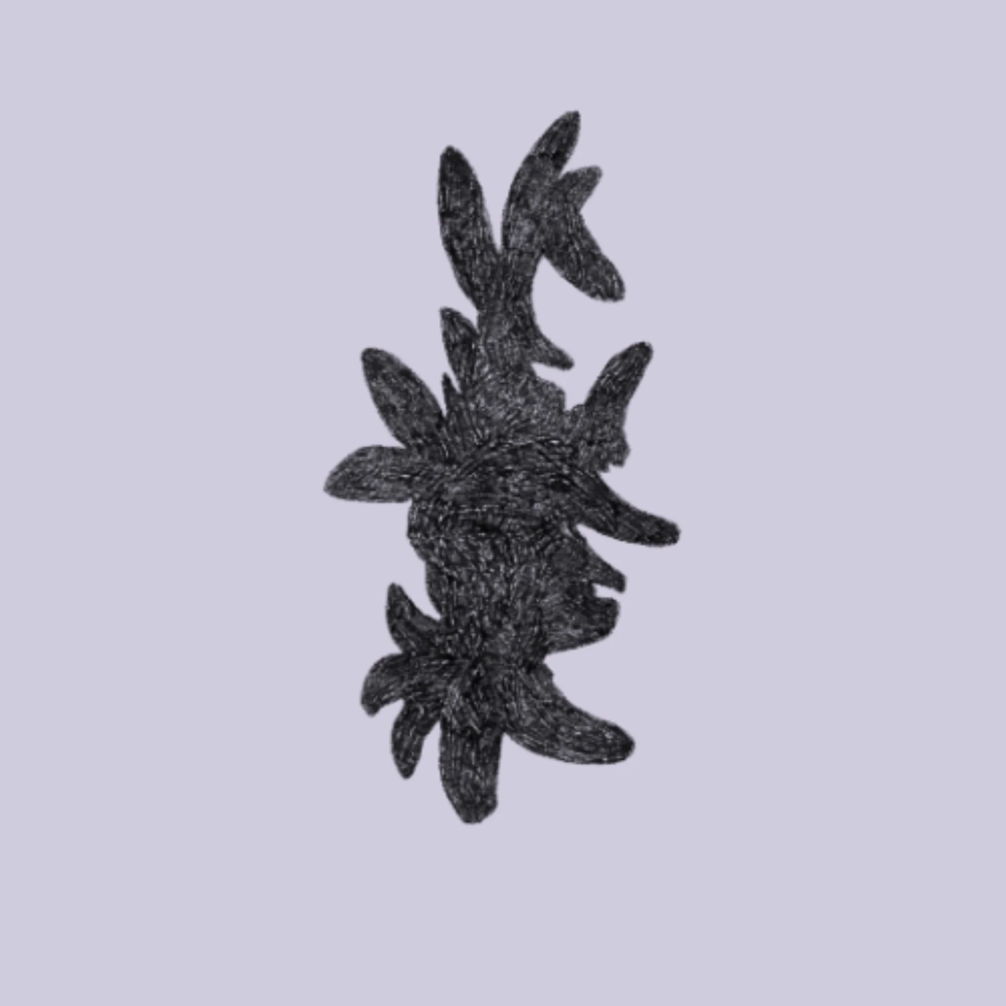 IMG_4098.jpeg