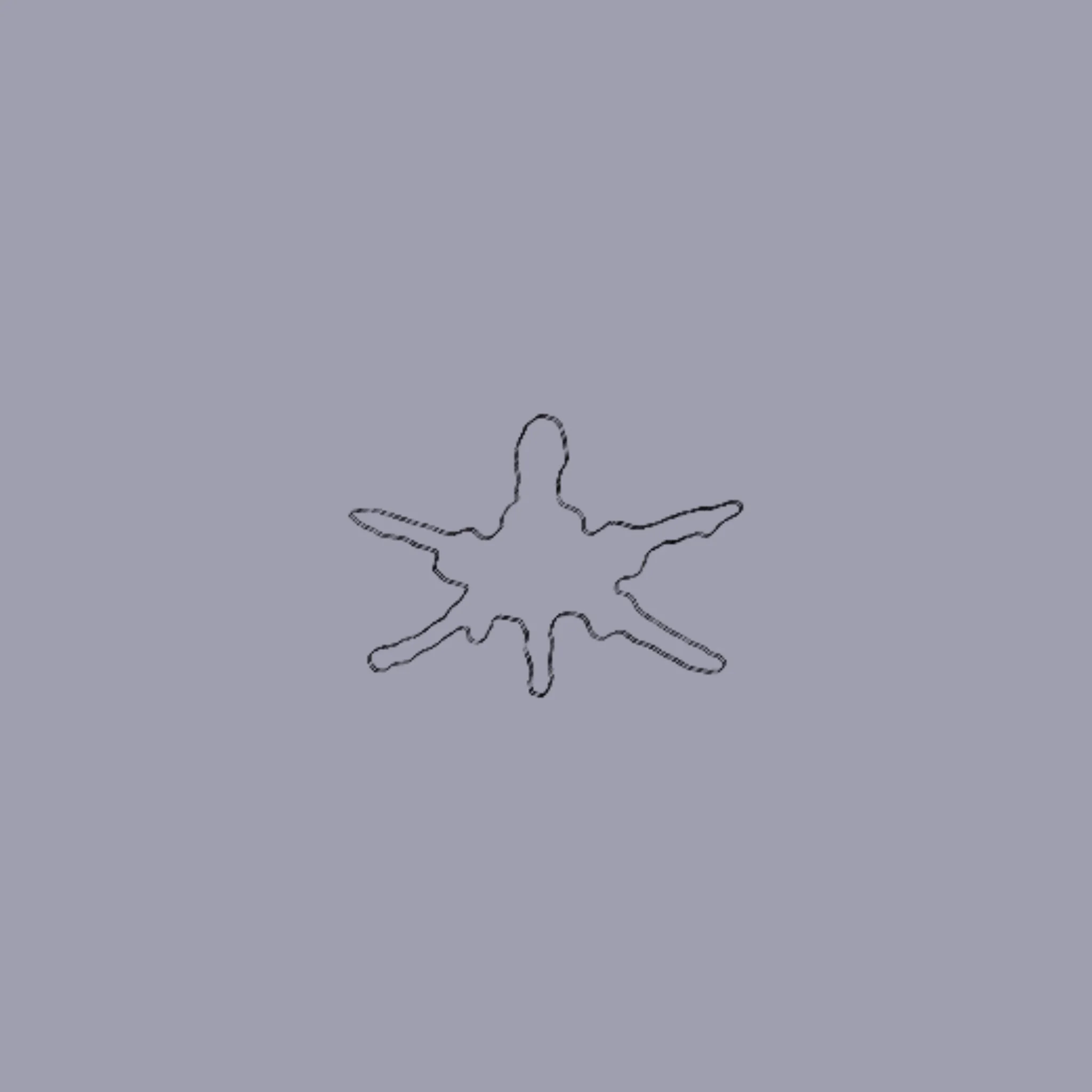 IMG_4090.jpeg