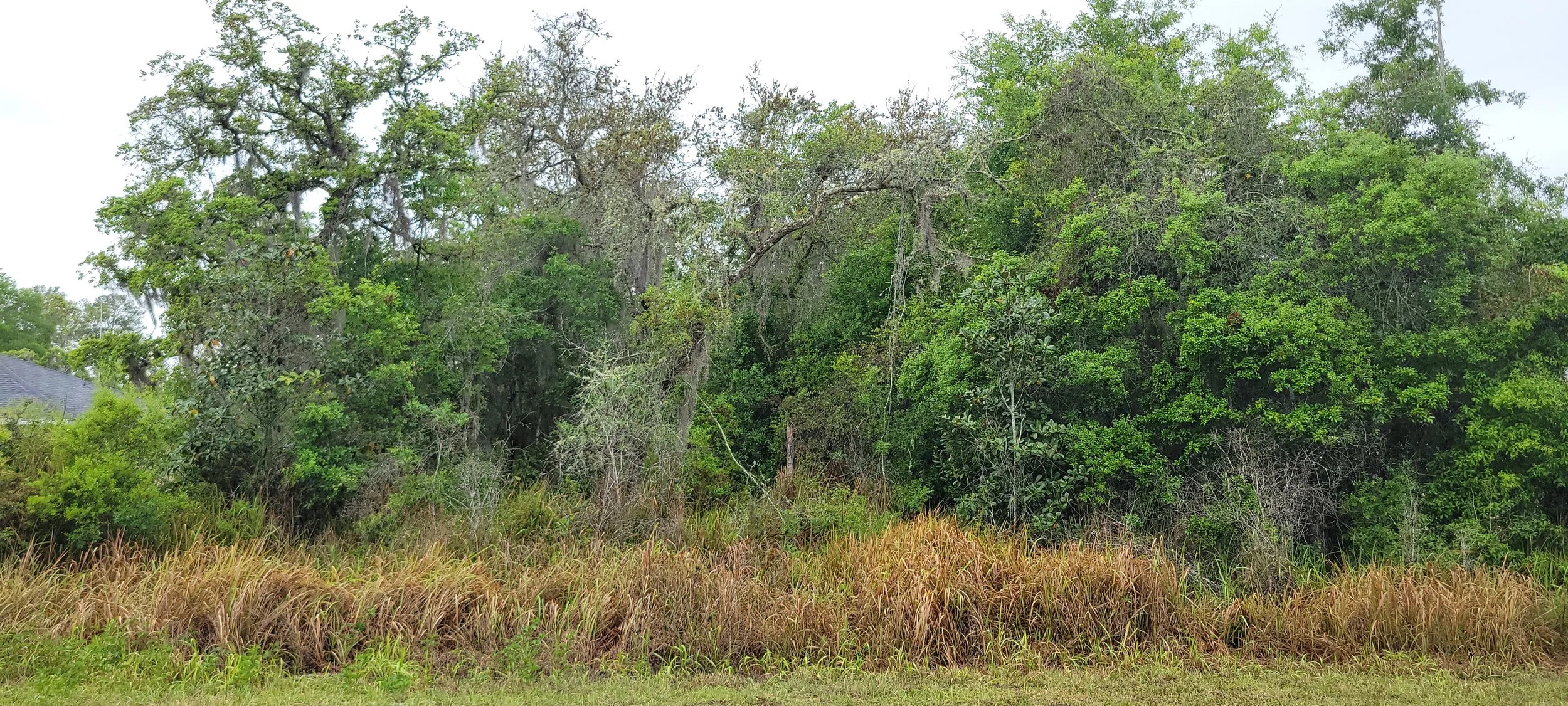 20260407_134920.jpg