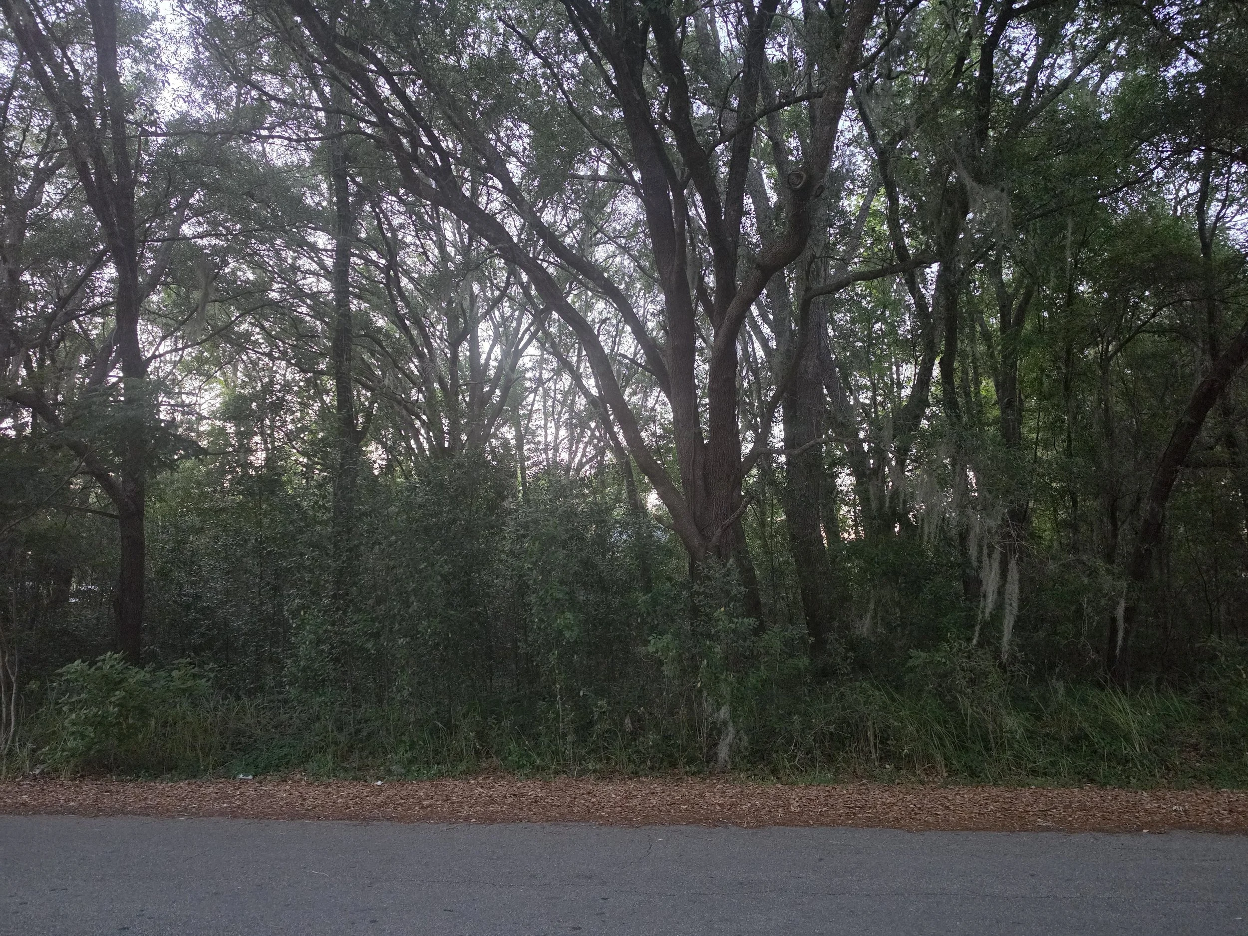 20260515_201721.jpg