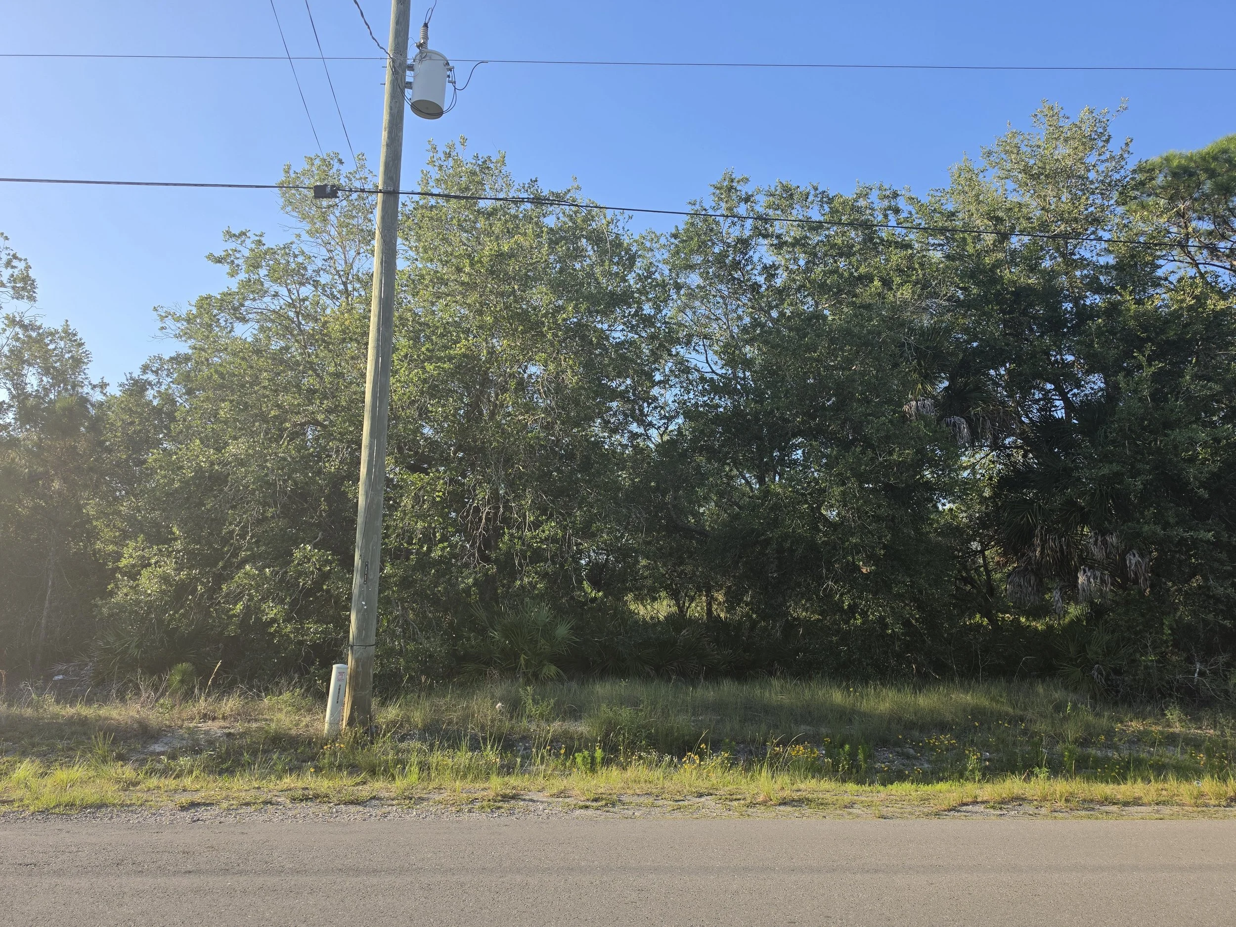 20260514_184601.jpg