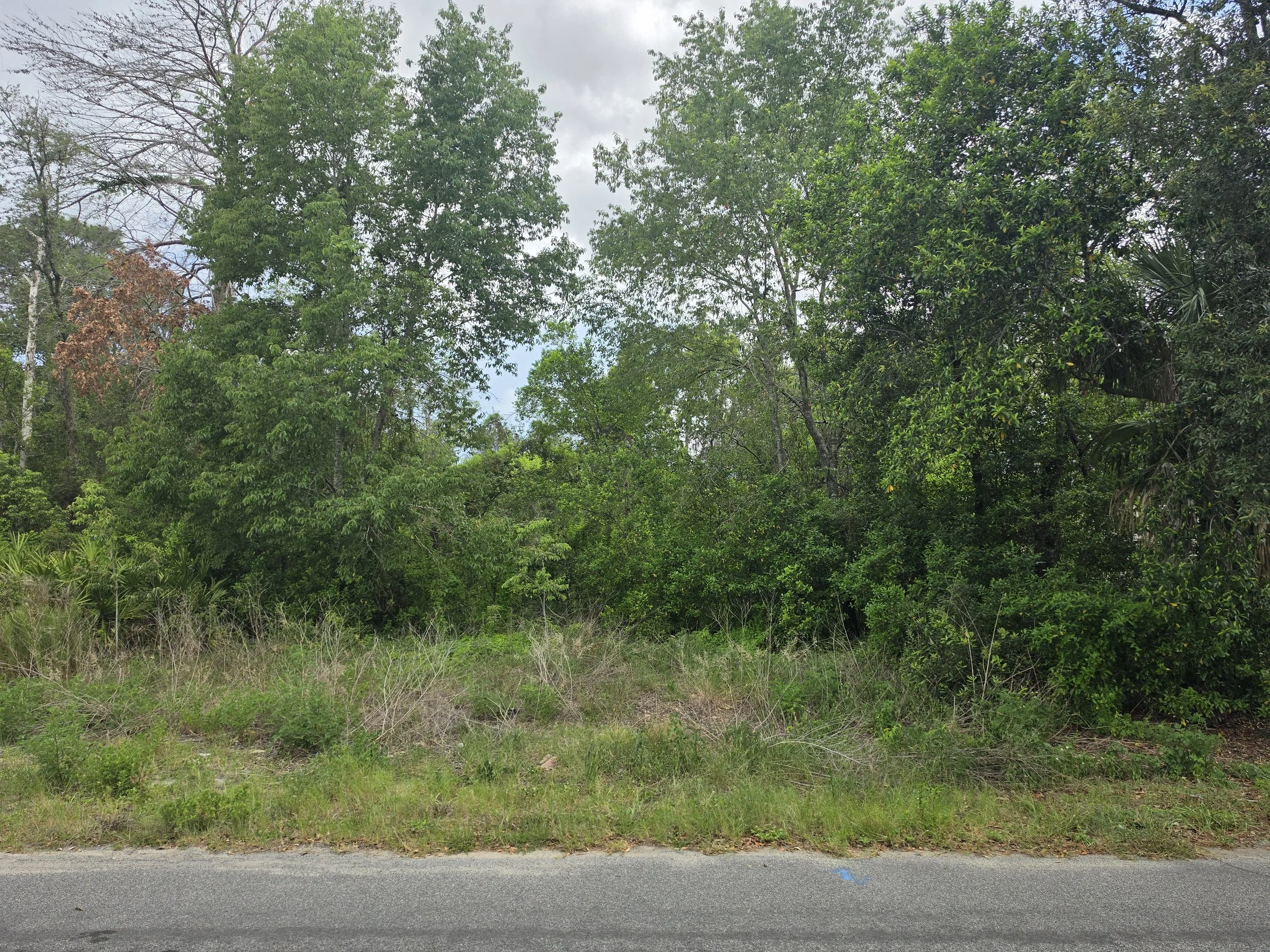 20260610_135325.jpg