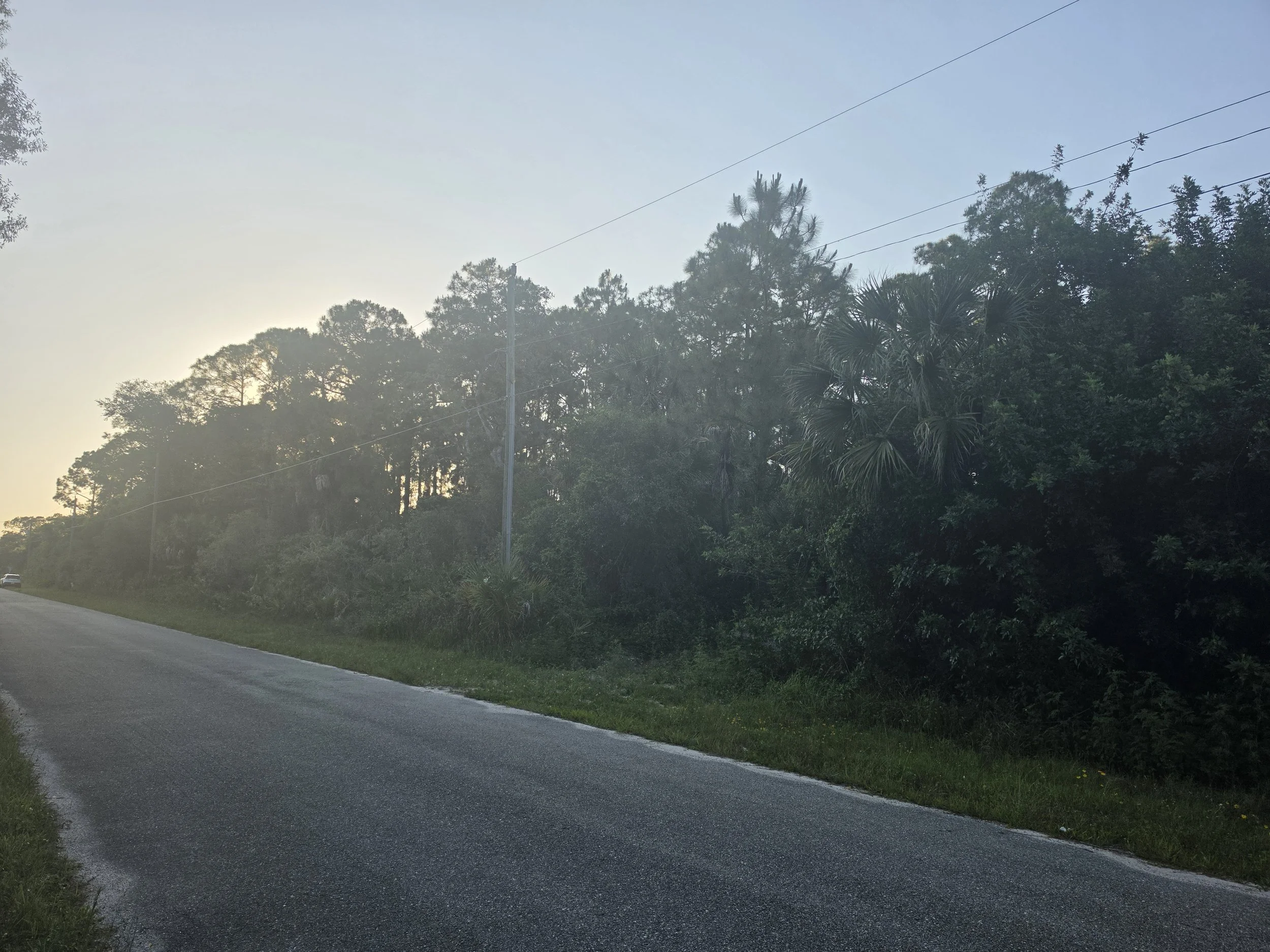 20260514_192616.jpg