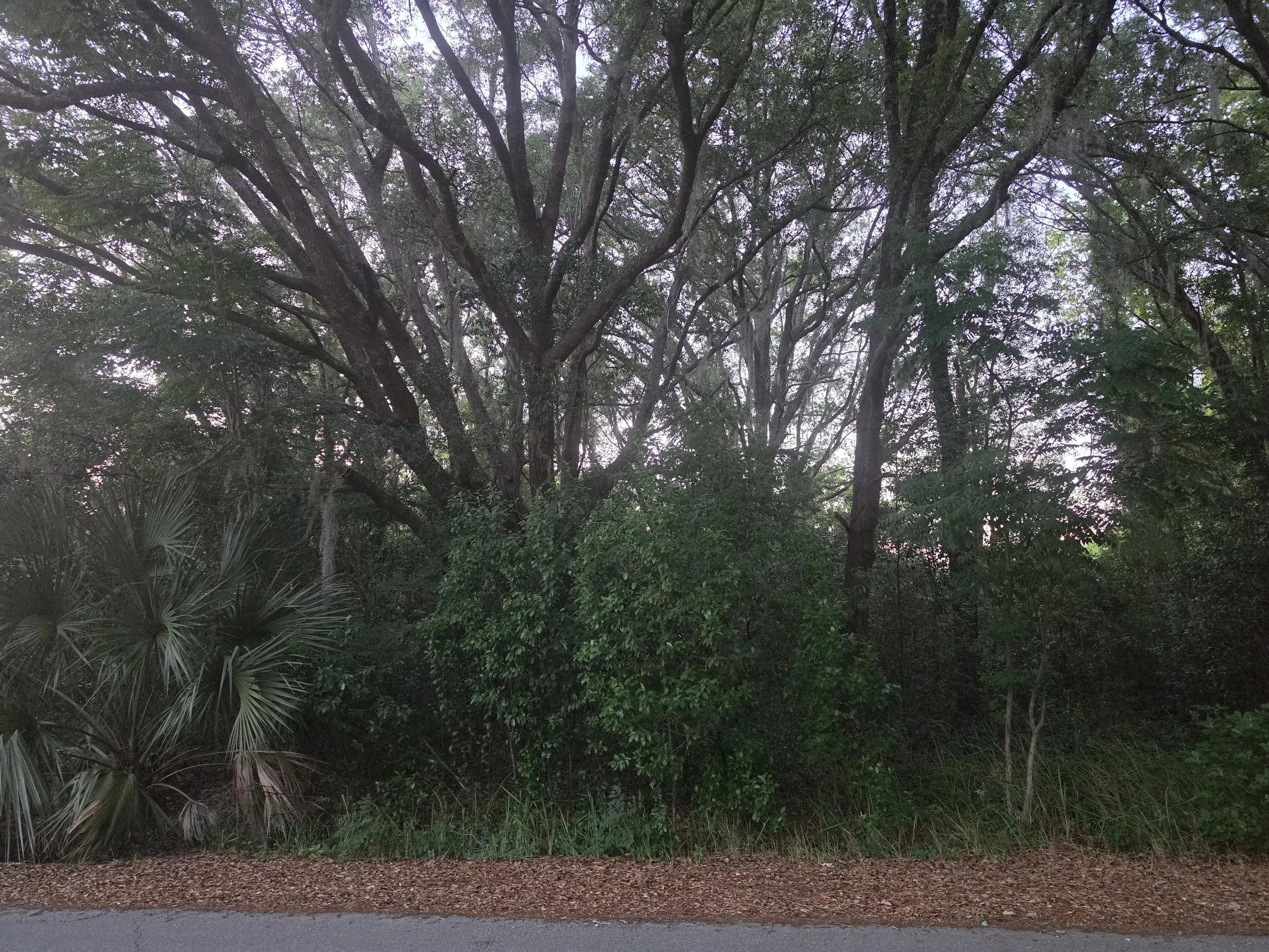20260515_201735.jpg
