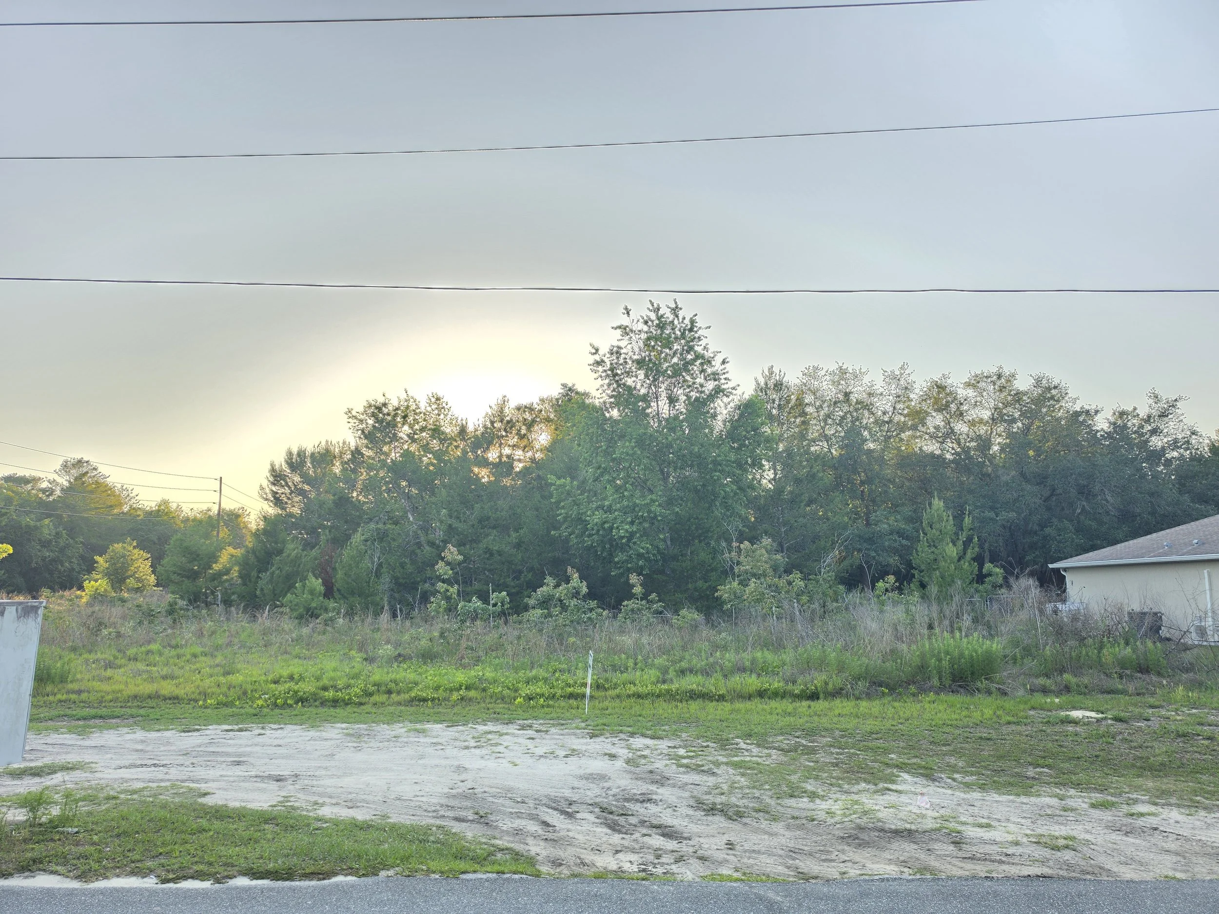 20260515_193234.jpg