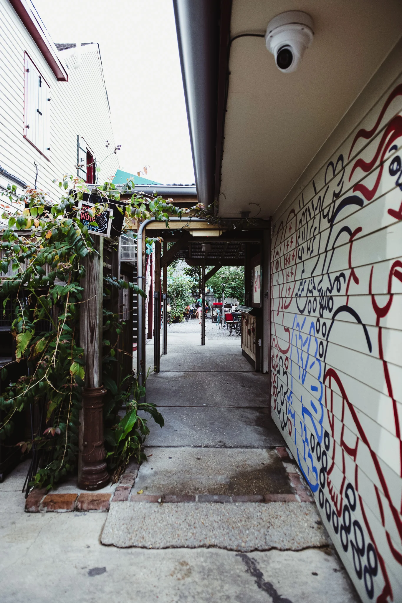 DSC_4796-2.jpg