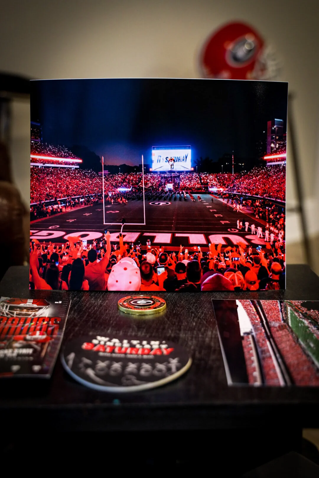 Red Sanford Stadium Viral Print (8x10)