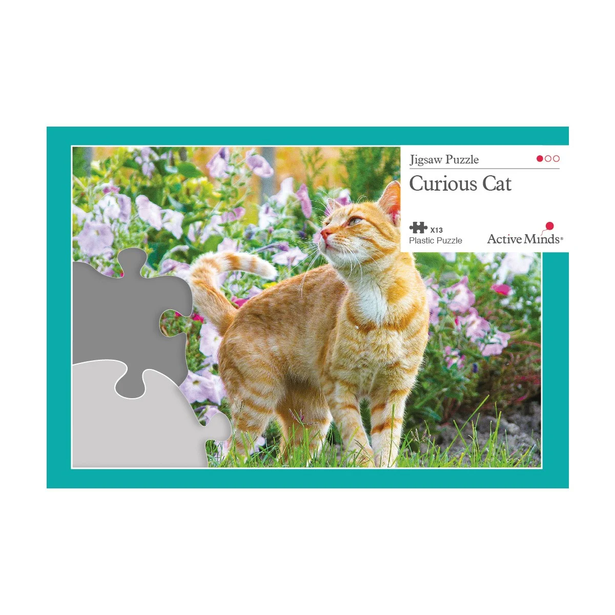 Casse-tête active minds