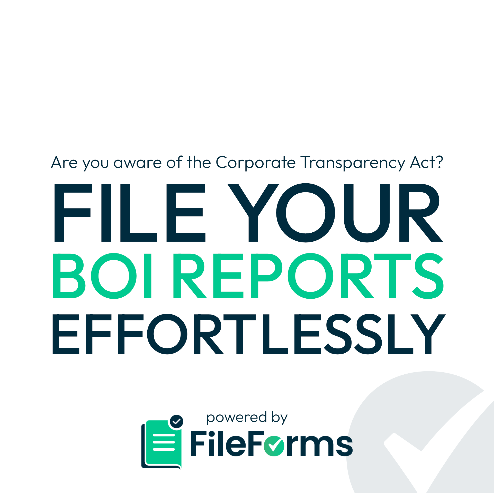FileForms - Corporate Transparency Act