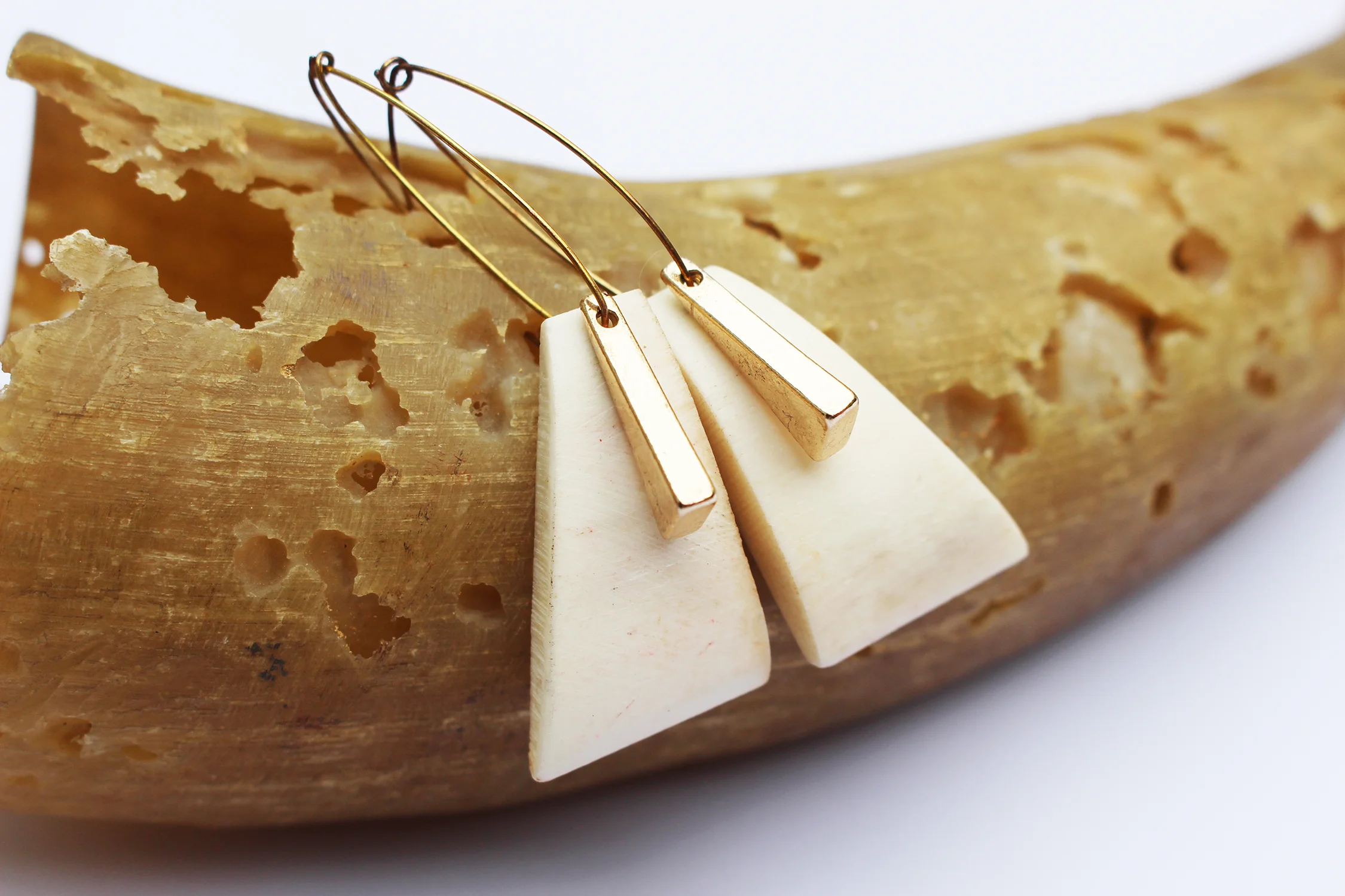 Fossilized Bone Earrings