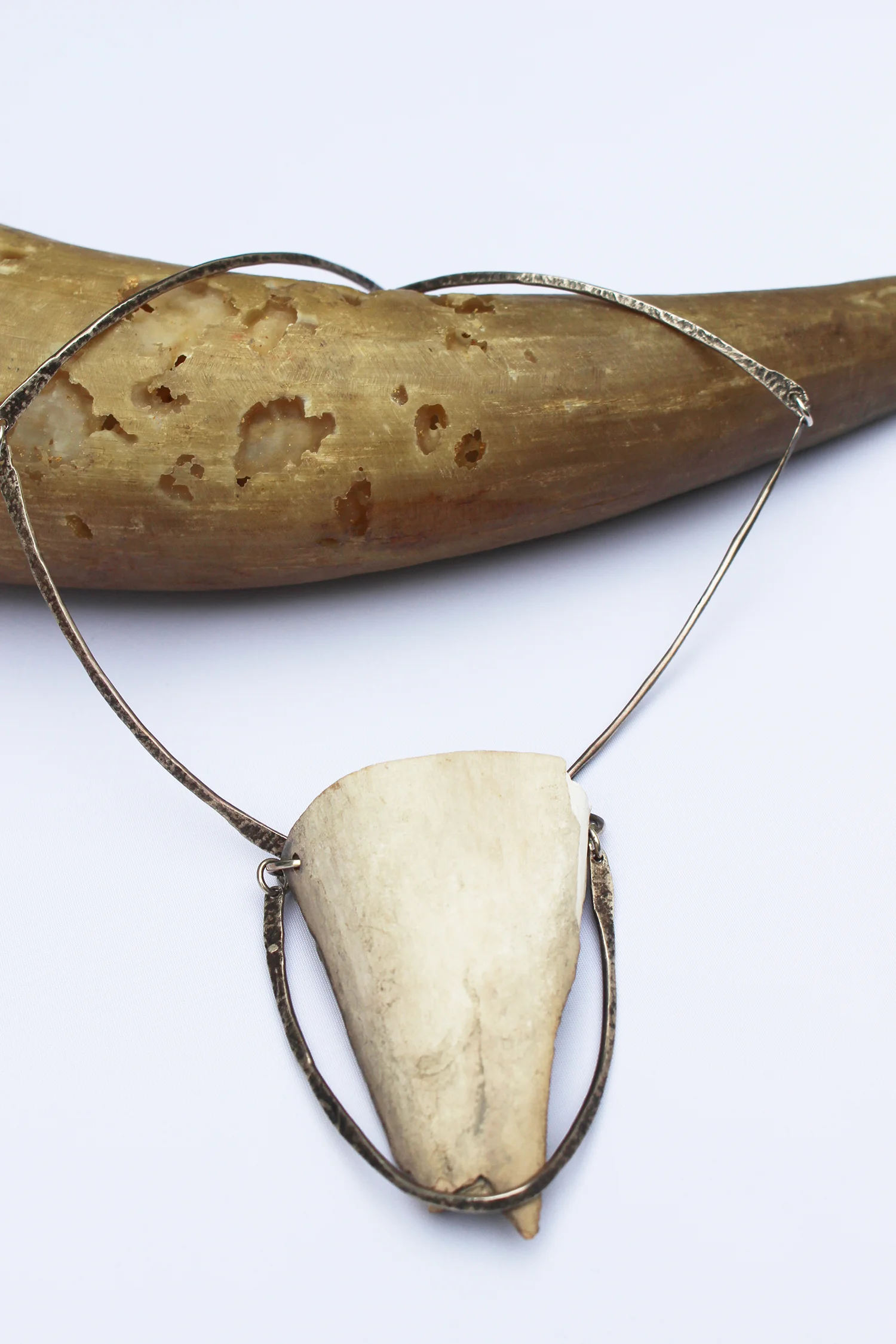 Fossilized Bone Necklace