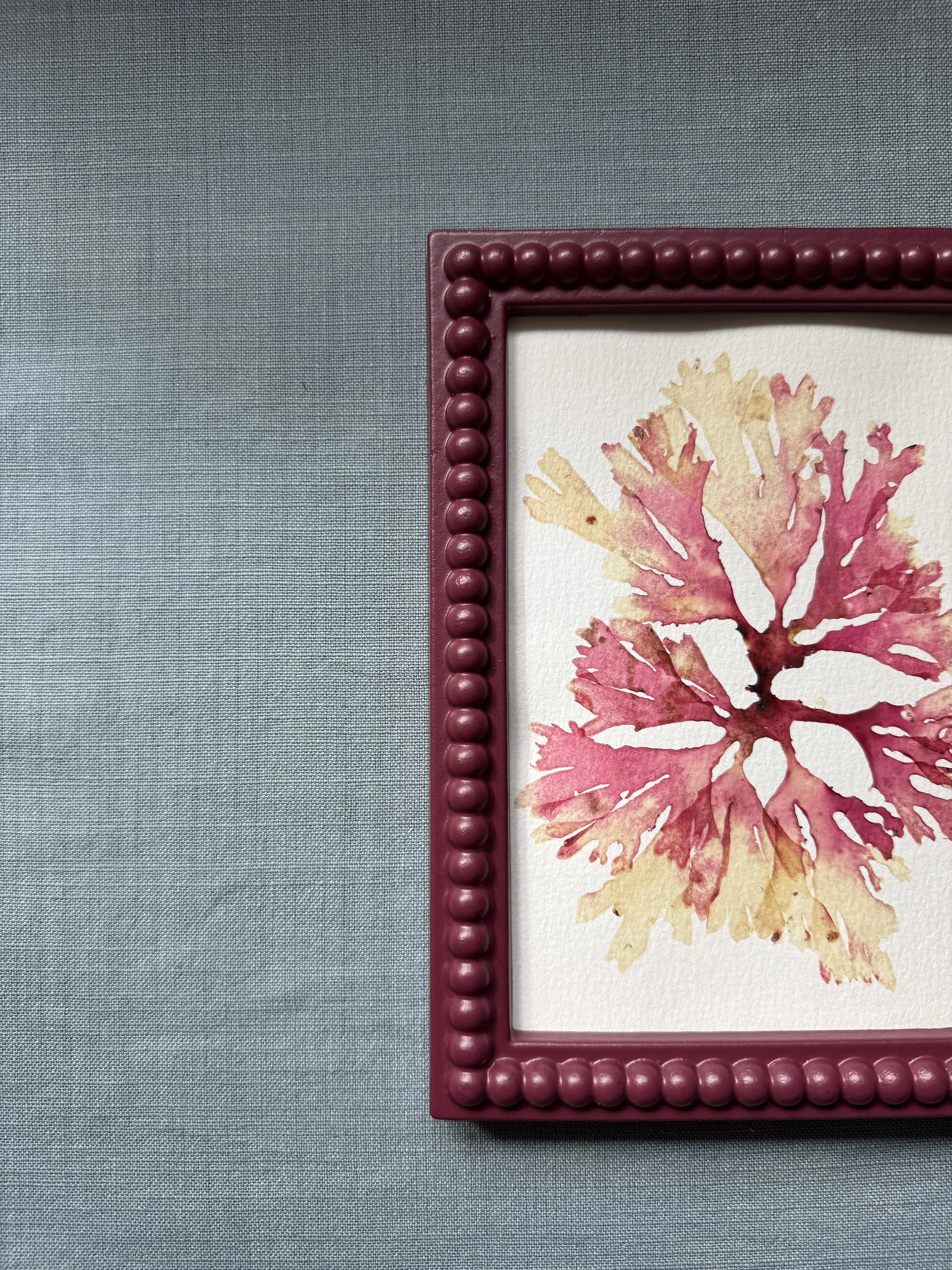 IMG_8901.jpeg