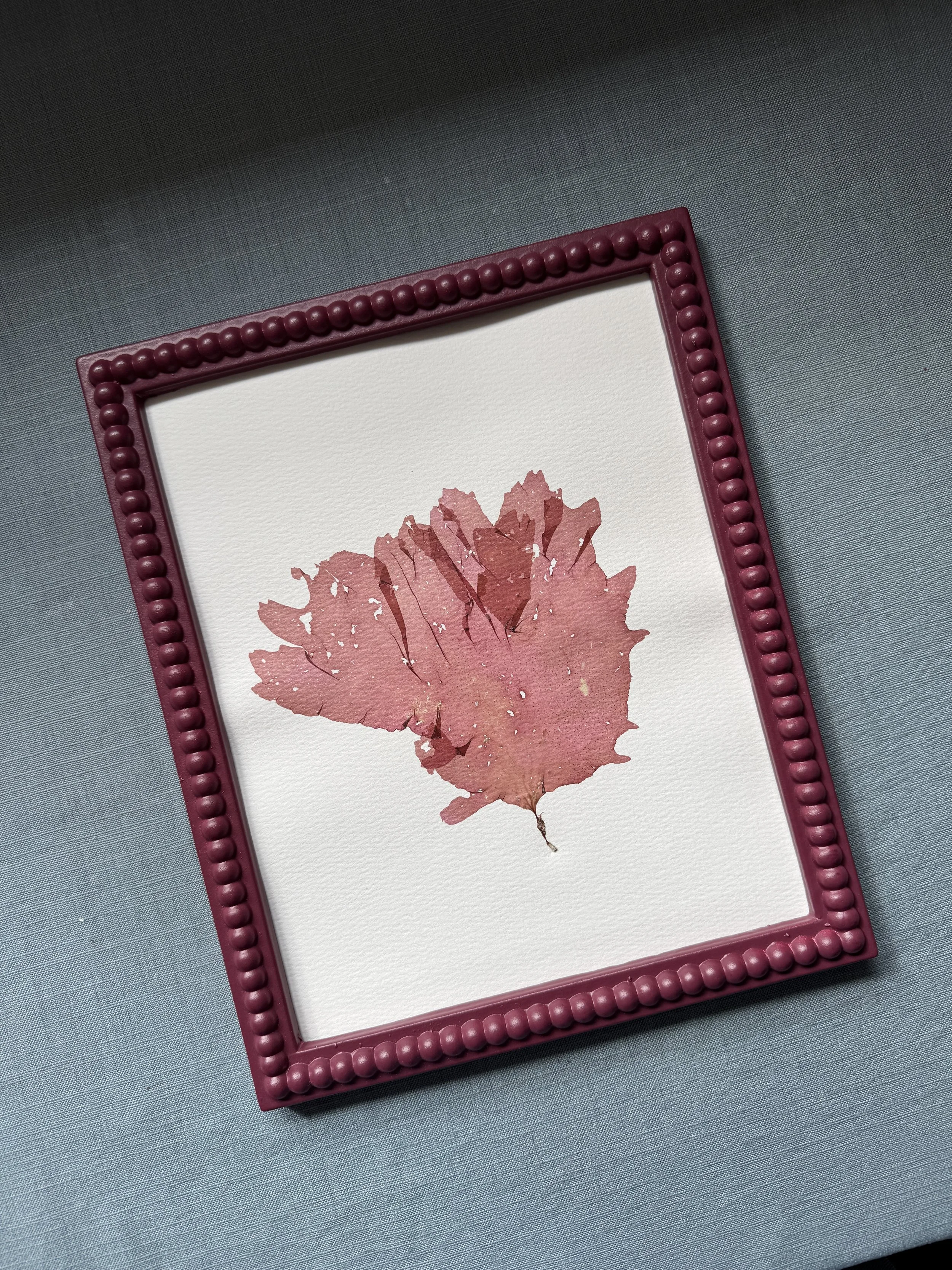IMG_8945.jpeg