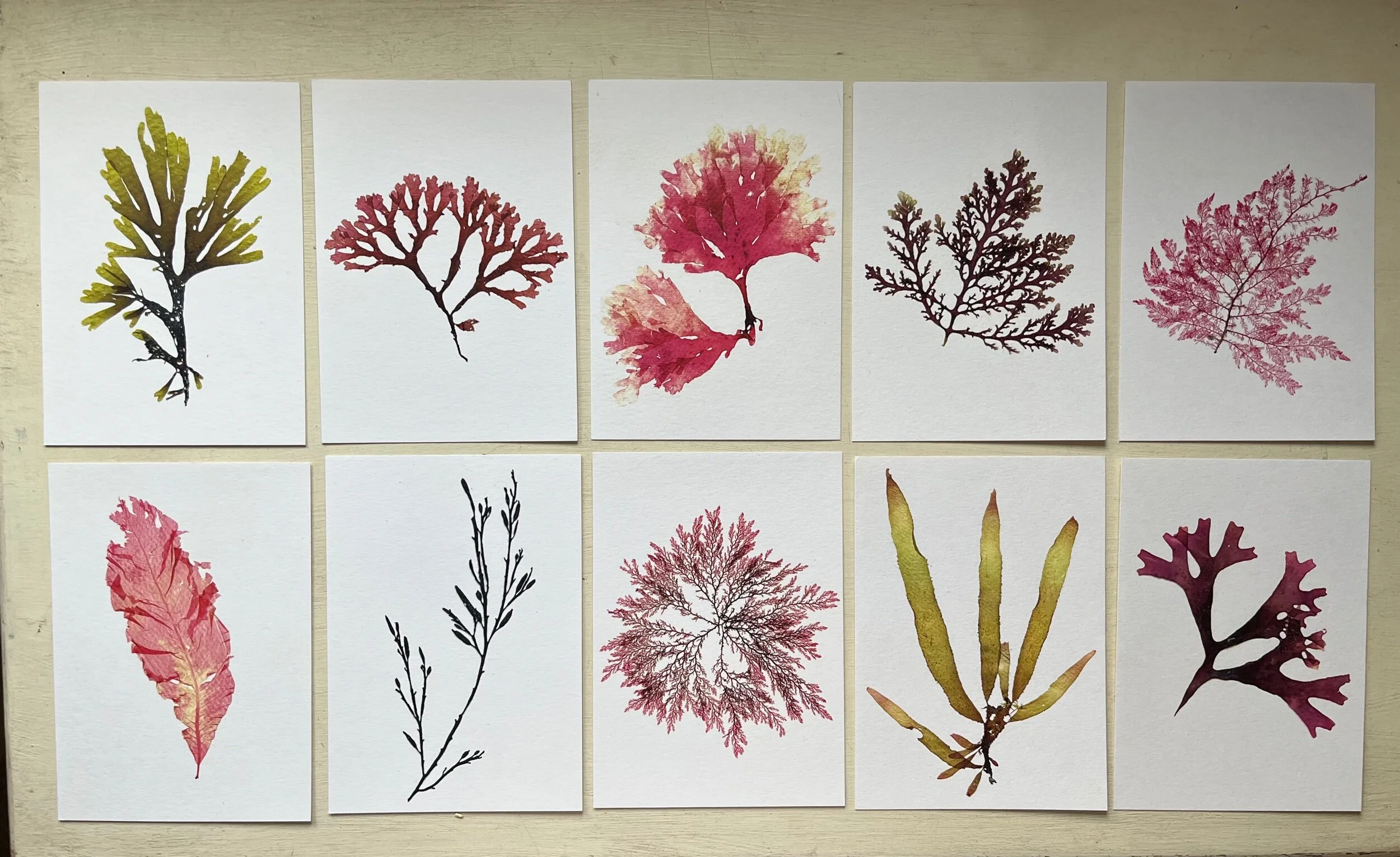 9A1CE350-A097-4638-A935-6169D0C38364