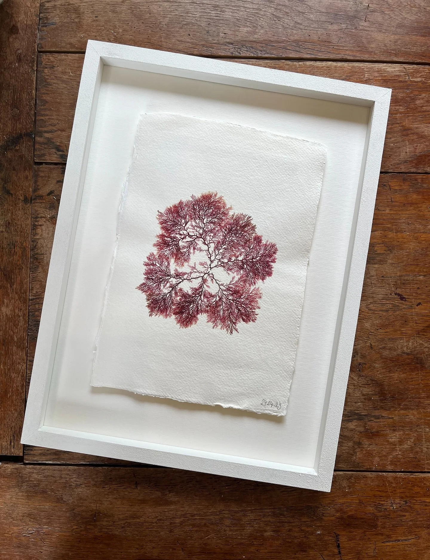 Throwback to this piece given to one of my best friends for her wedding present, using a seaweed picked whilst on her hen-do ❣️

#pressedseaweed #seaweedpressing #weddingpresentideas #seaweedart