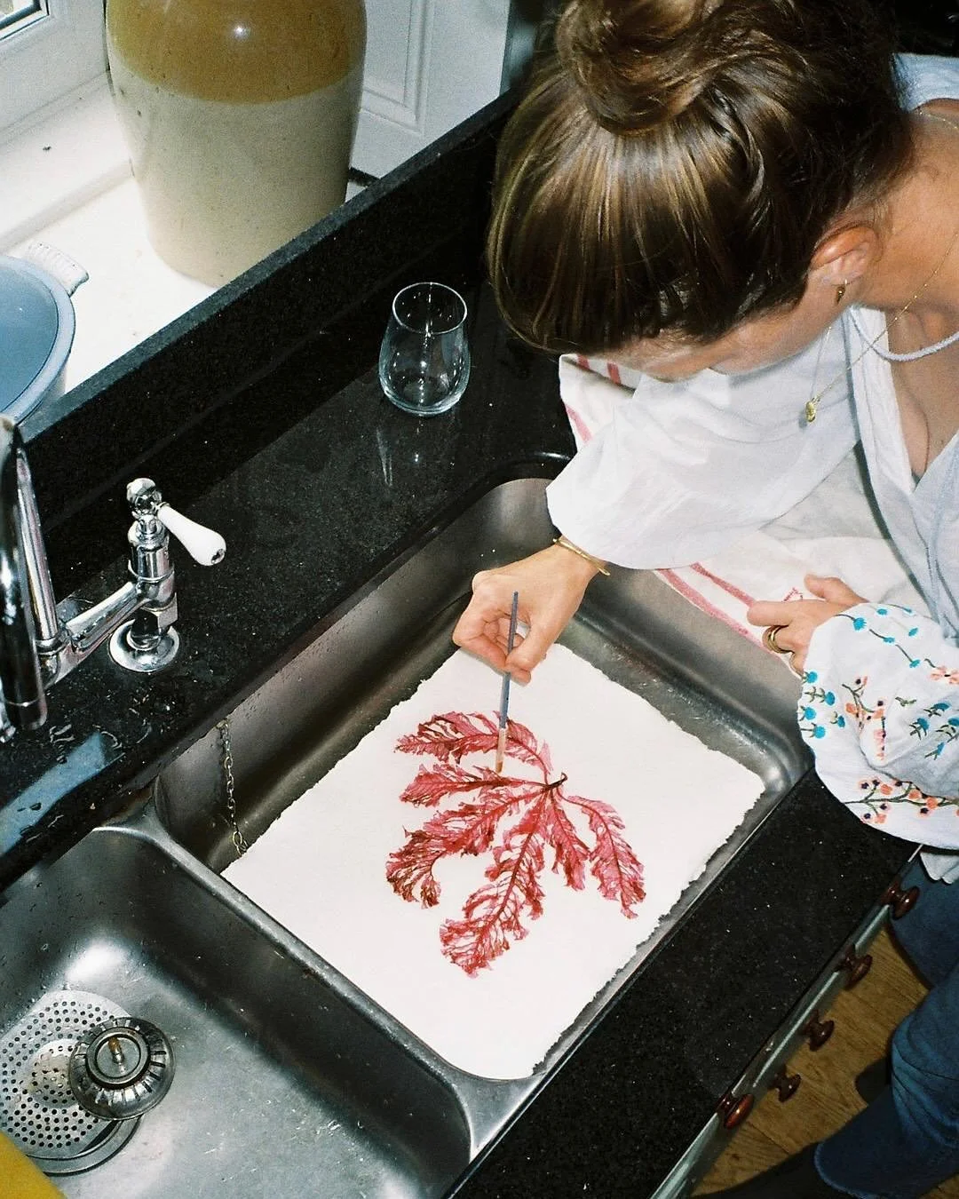 During, before &amp; after. Always marvelling at how beautiful nature can be 🩷 huge Sea Beech found back in July 

📸 @amabeltorrance 

#seabeech #pressedseaweed #seaweedpressing #tamrauk