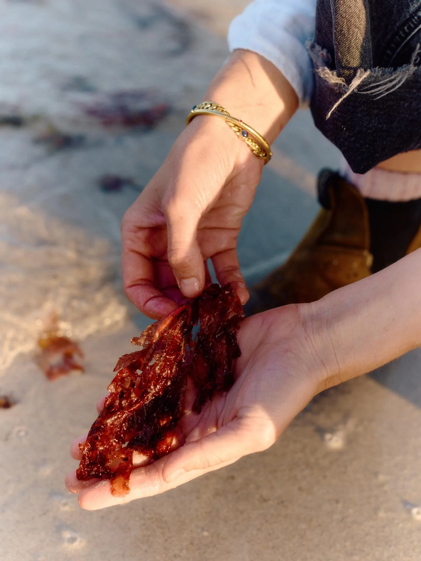 Finding lots of new lovely things for 2026 ✨ very excited for the year to come. Thank you for following along x