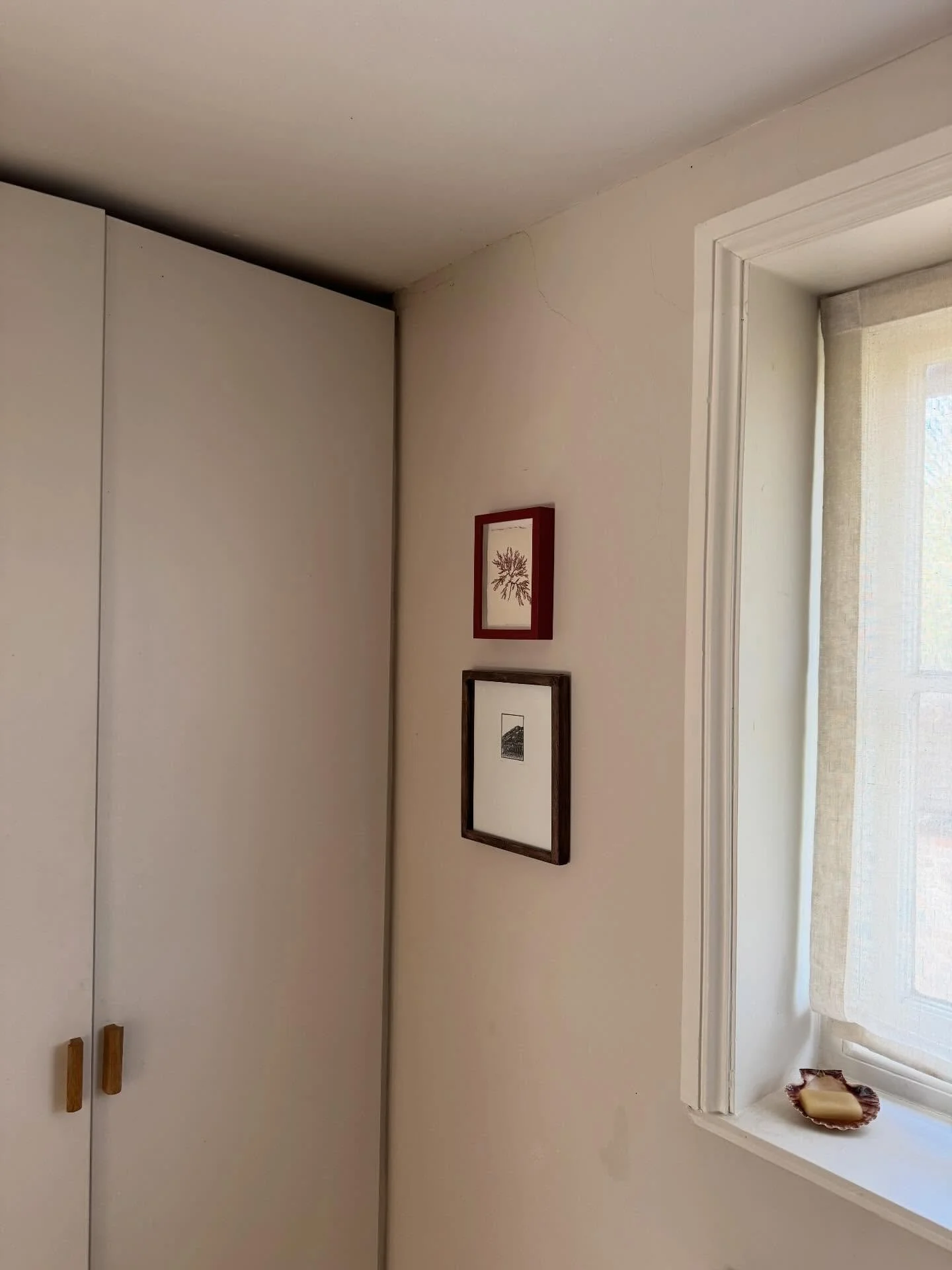 Simple pleasures ❣️

#pressedseaweed #seaweedpressing #tamrauk