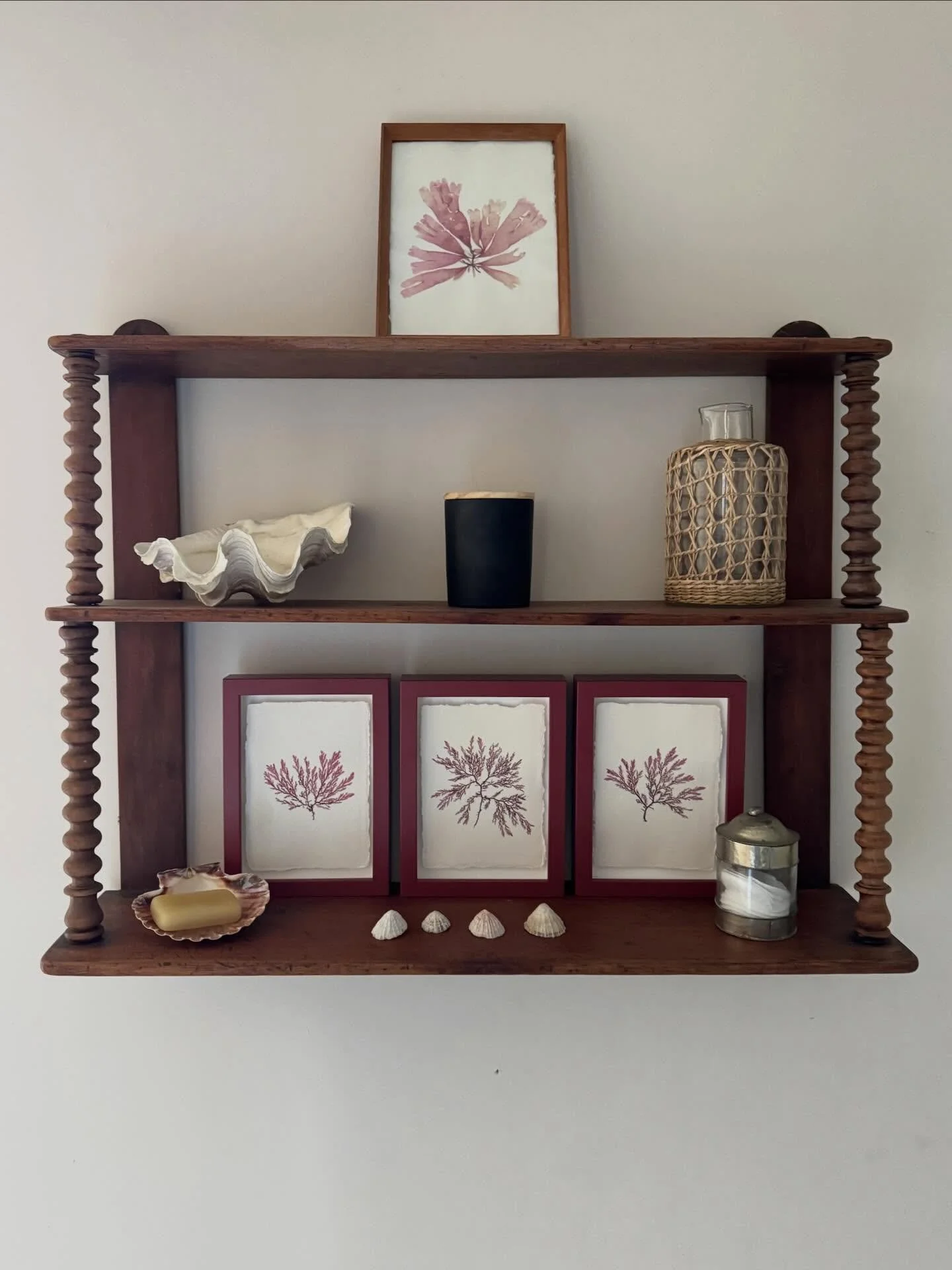 Bathroom shelfie. Our small red frame pressed seaweeds sitting pretty ❣️

#tamrauk #pressedseaweed #seaweedpressing #shelfie