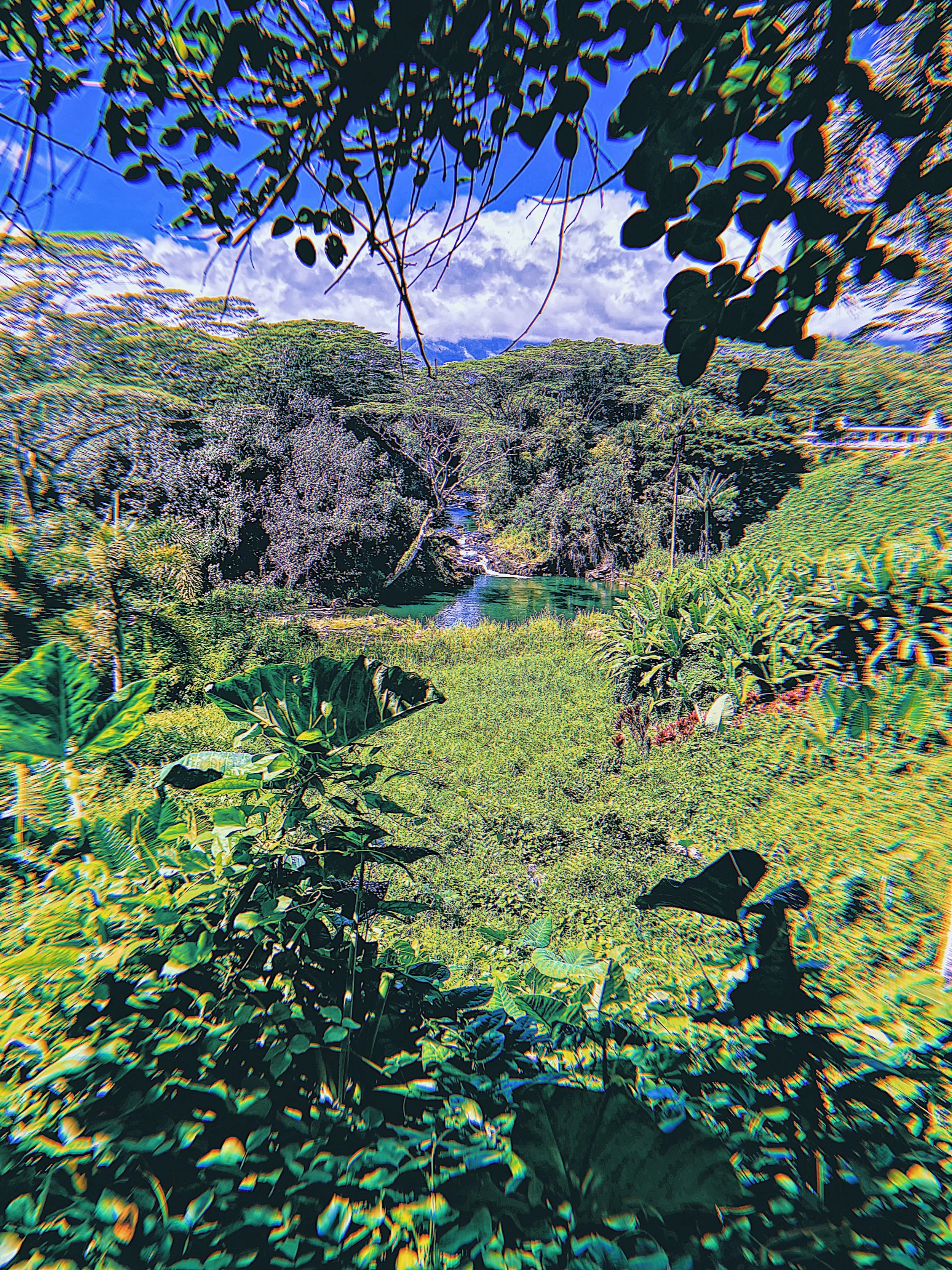 IMG_2218_VSCO.jpeg