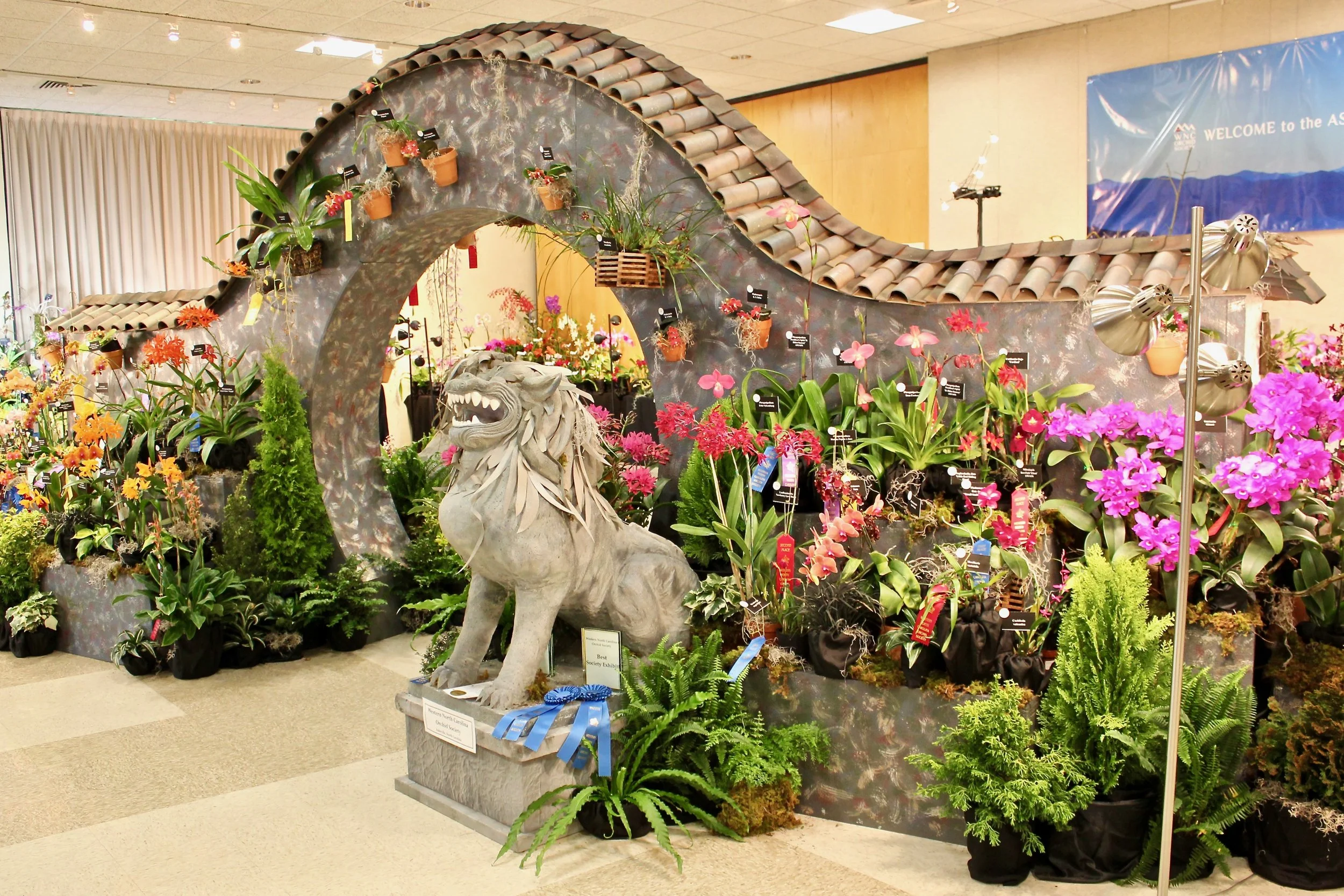 Final Prep for The Asheville Orchid Festival