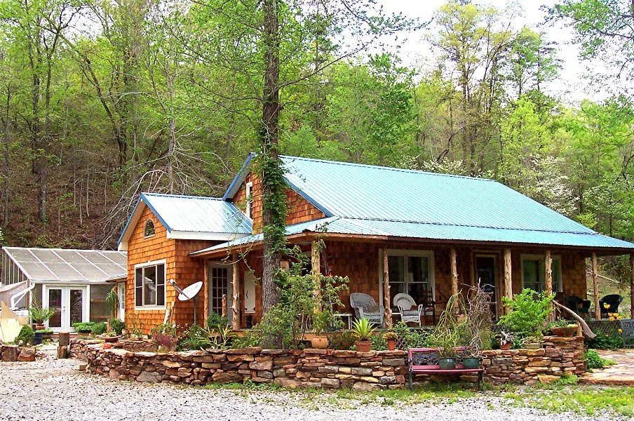 Growing Cymbidiums in the South