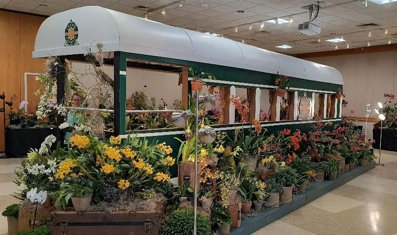 Asheville Orchid Festival Workshop