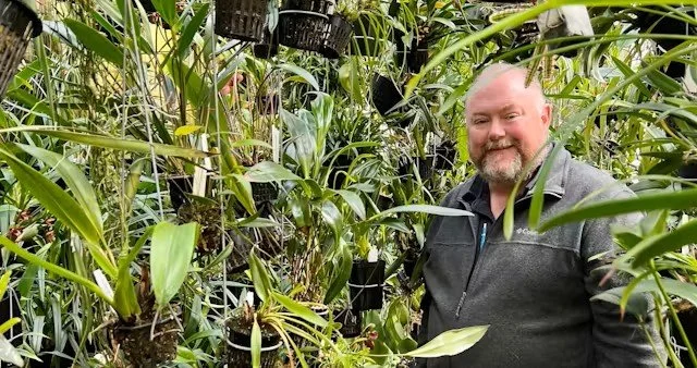 Eric Sauer on Expanding Your Orchid Collection – Yes You Can Know What You Are Gonna Get
