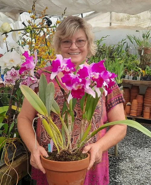 Linda Thorne - Dendrobiums for Warmer Climates