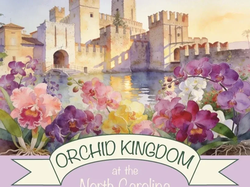 Final Prep for The Asheville Orchid Festival