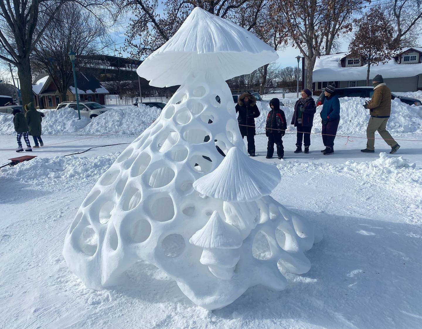 Mushrooms. 

#snowsculpture #mushrooms #state