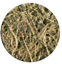 Friction_Material_Cellulose_Paper.png