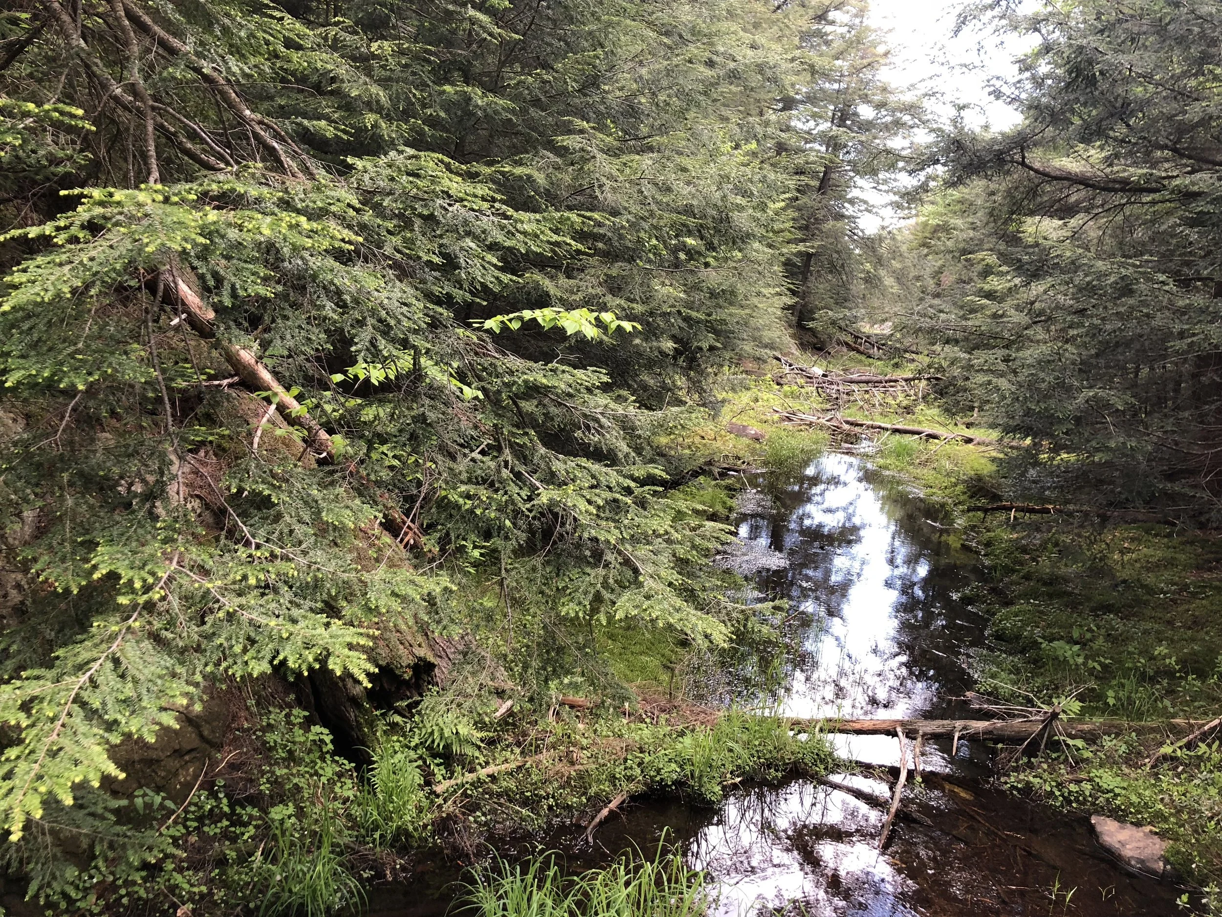 Kristin Vanderpas_2052.JPG