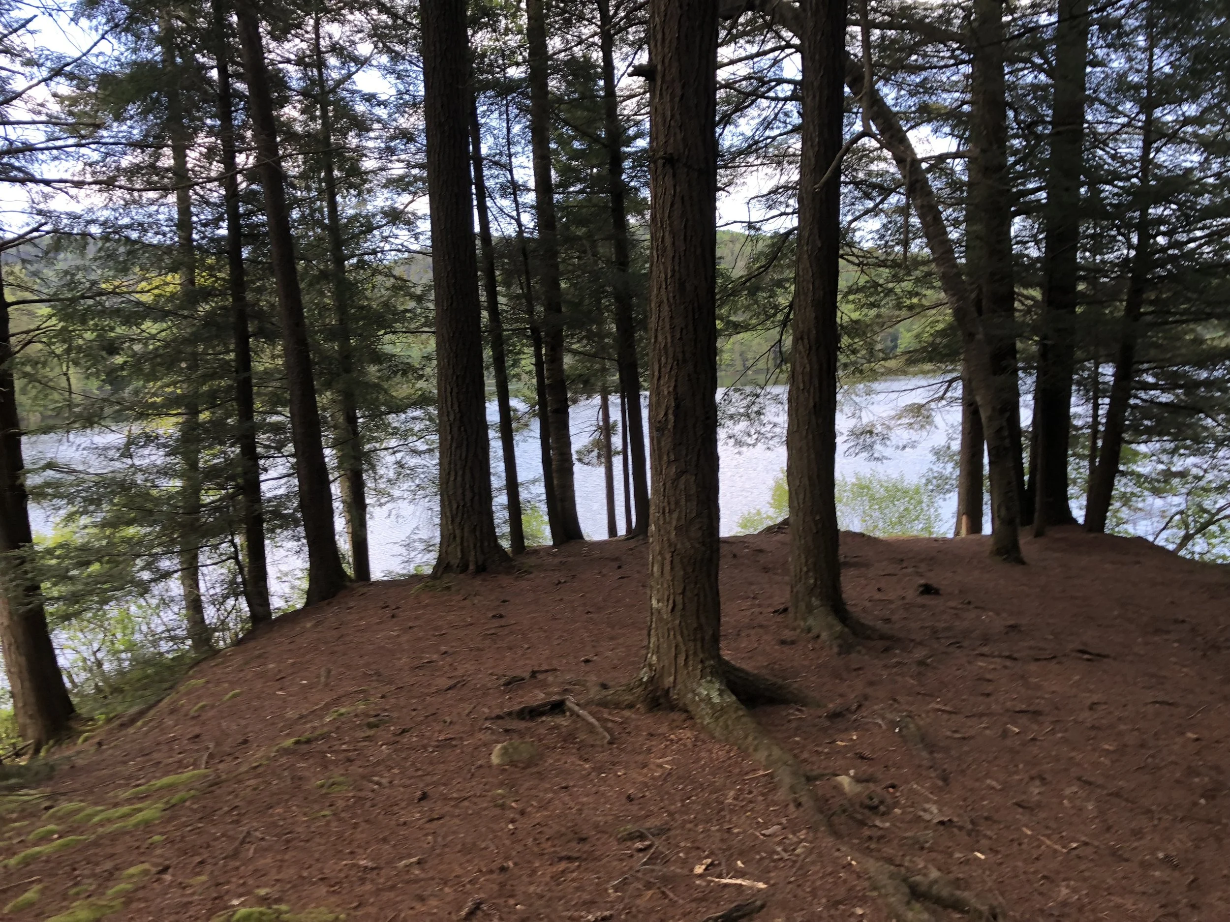 Kristin Vanderpas_2693.JPG