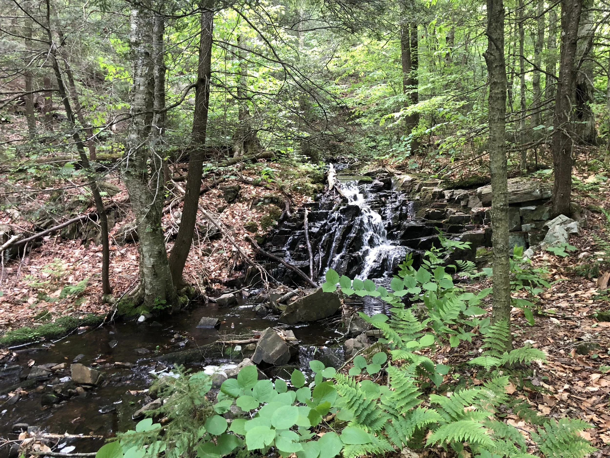 Kristin Vanderpas_2801.JPG