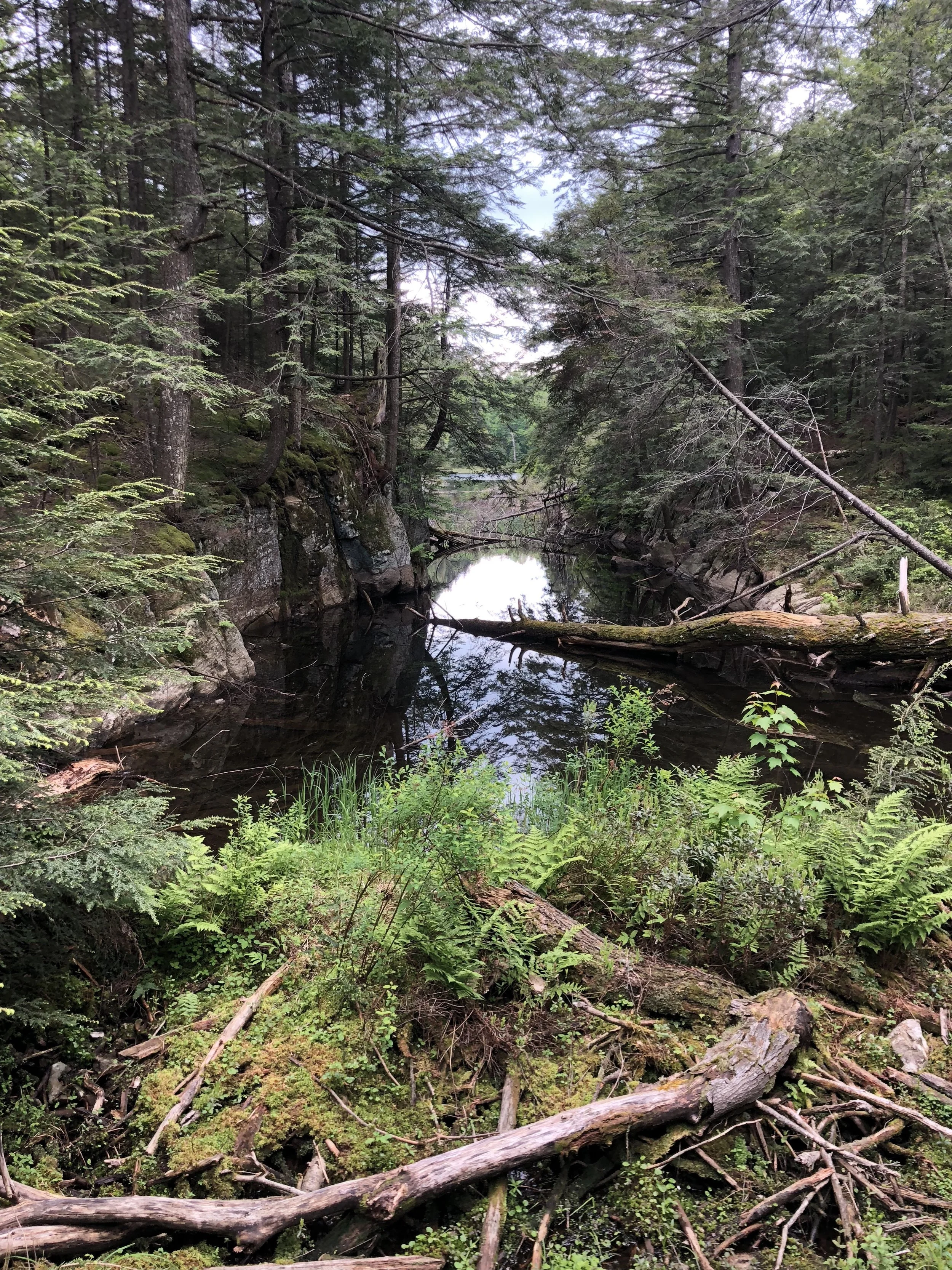 Kristin Vanderpas_9112.JPG