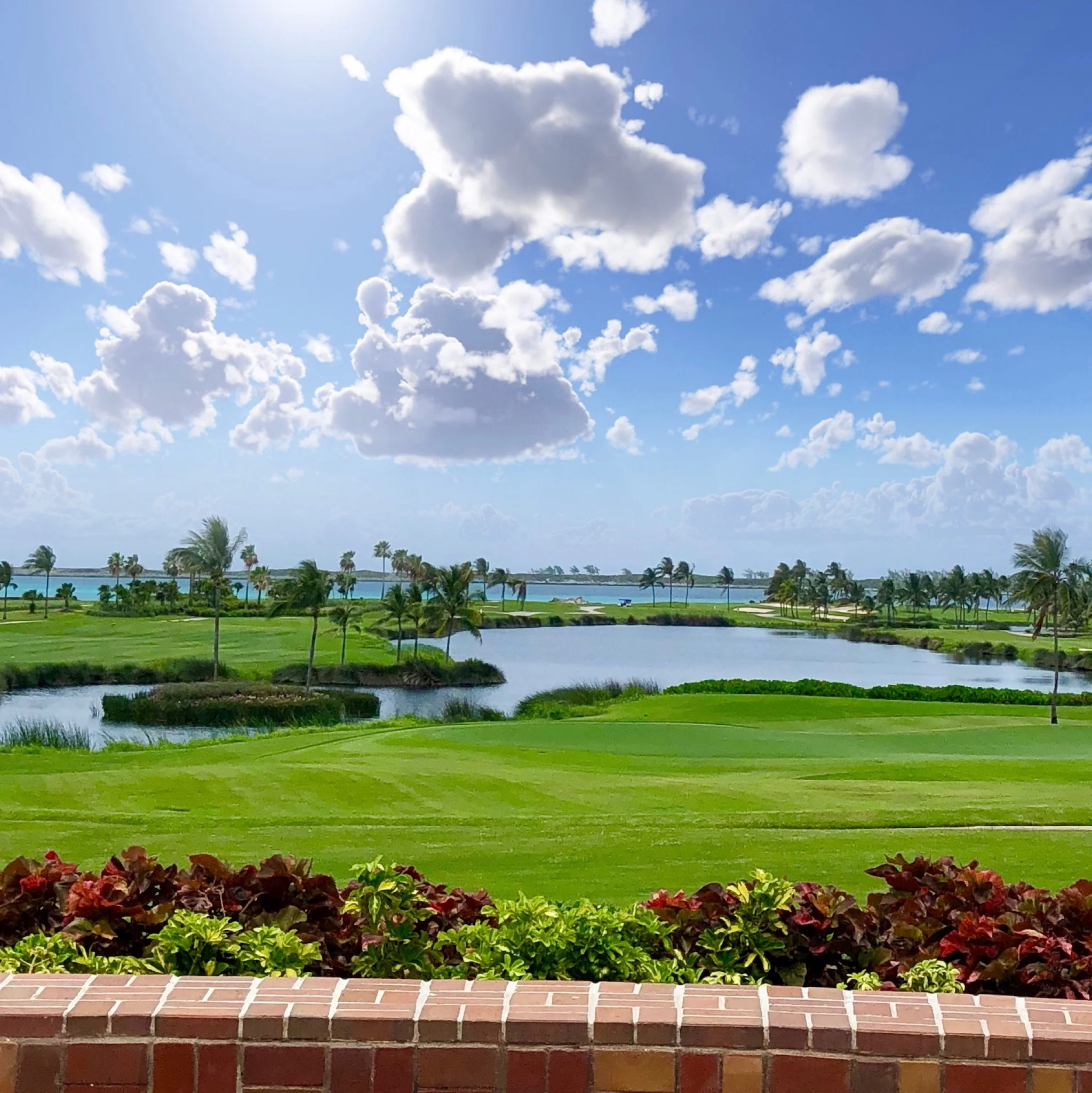 Kristin Vanderpas_0089.JPG