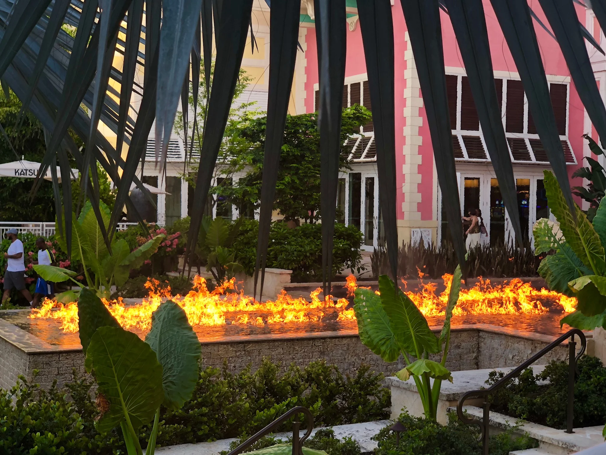 Kristin Vanderpas_1164.JPG