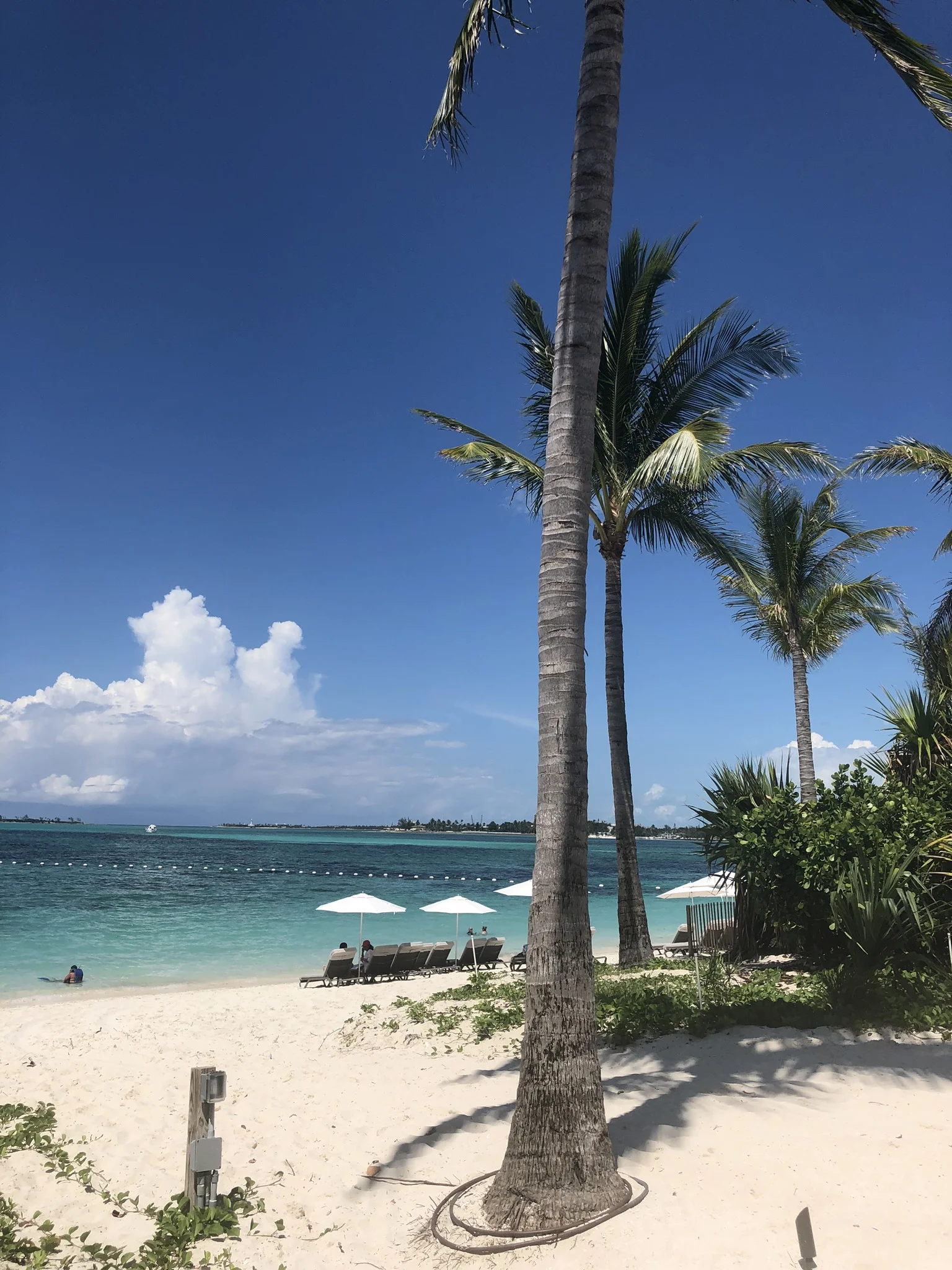 Kristin Vanderpas_3253.JPG