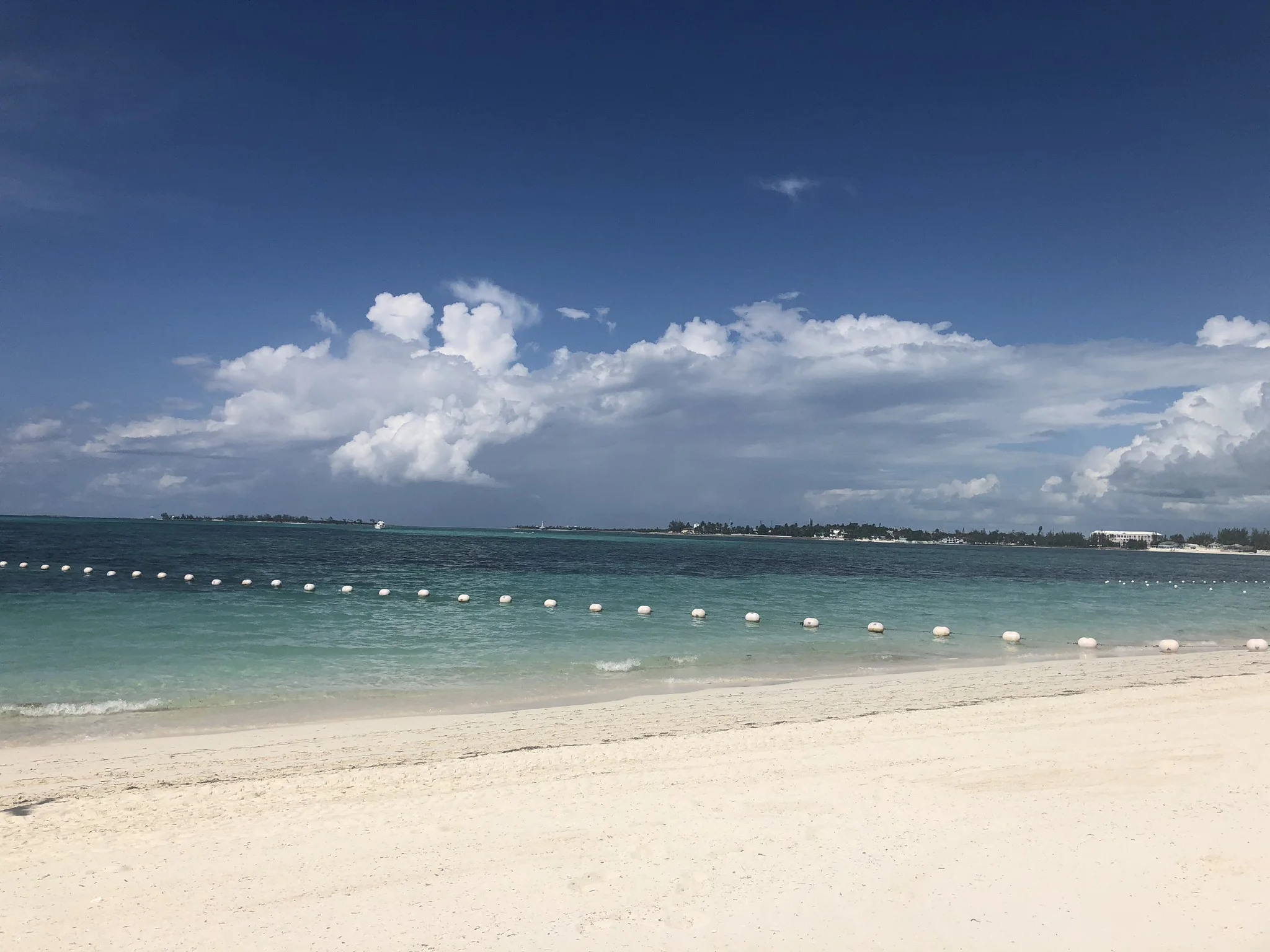 Kristin Vanderpas_6060.JPG