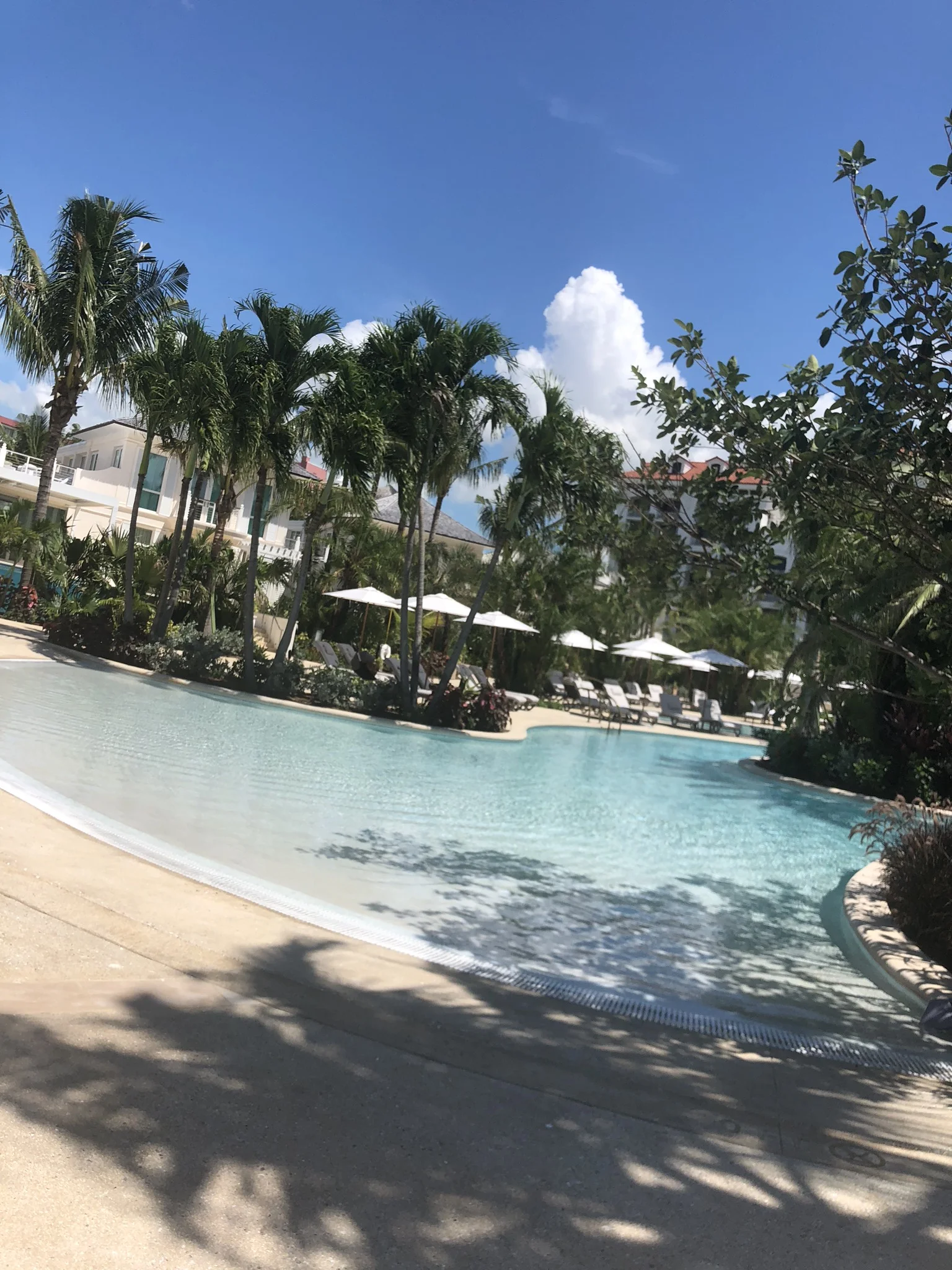 Kristin Vanderpas_7583 2.JPG