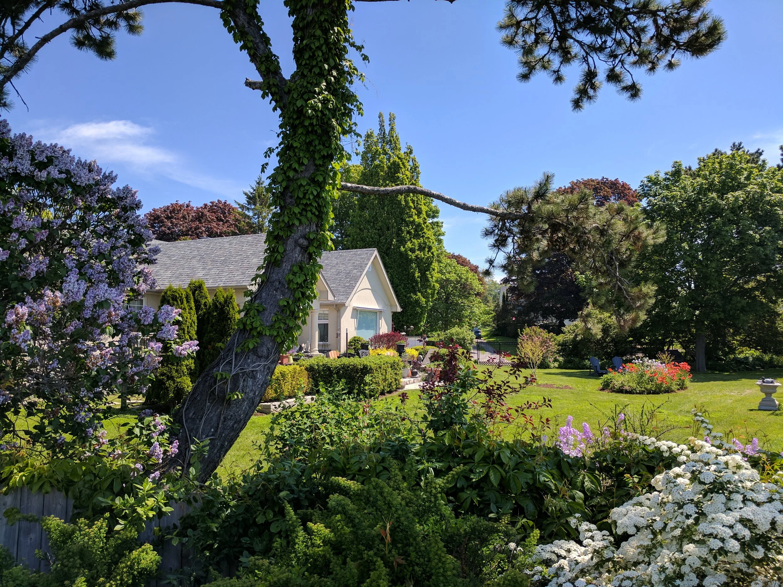 A view of Willowmere's garden, Cobourg waterfront bed and breakfast.