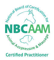nbcaam_LOGO_RGB_loRes CP.png
