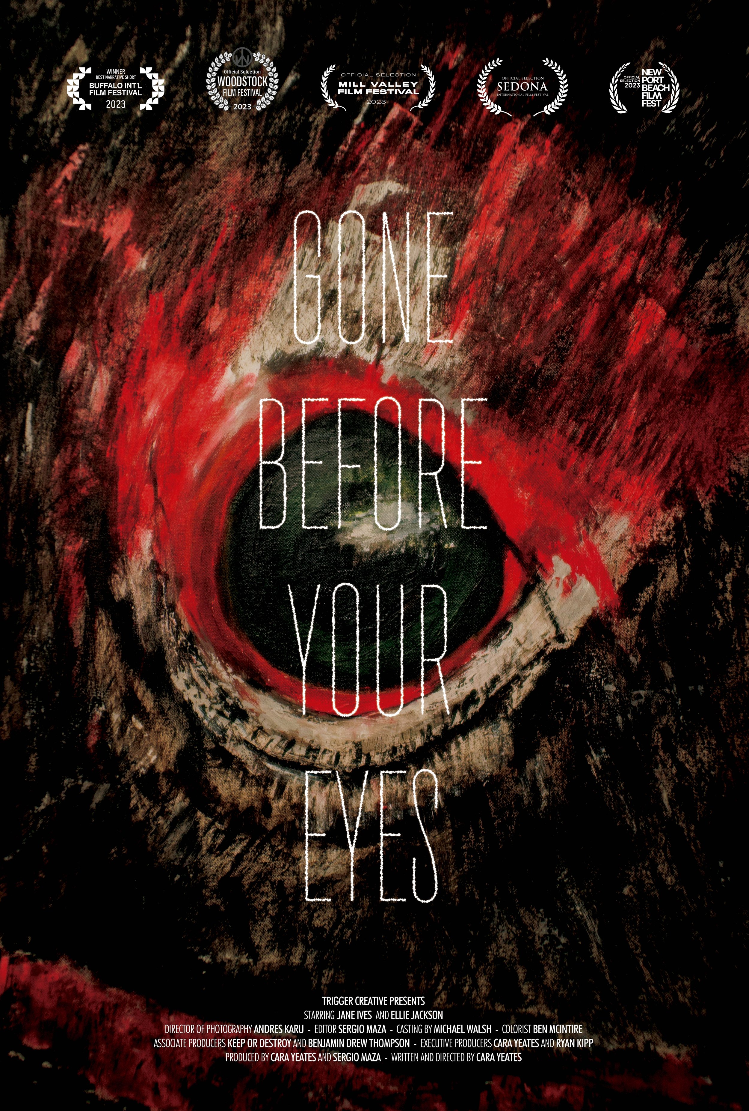 Poster. Gone Before your eyes. 27x40 copy.jpg