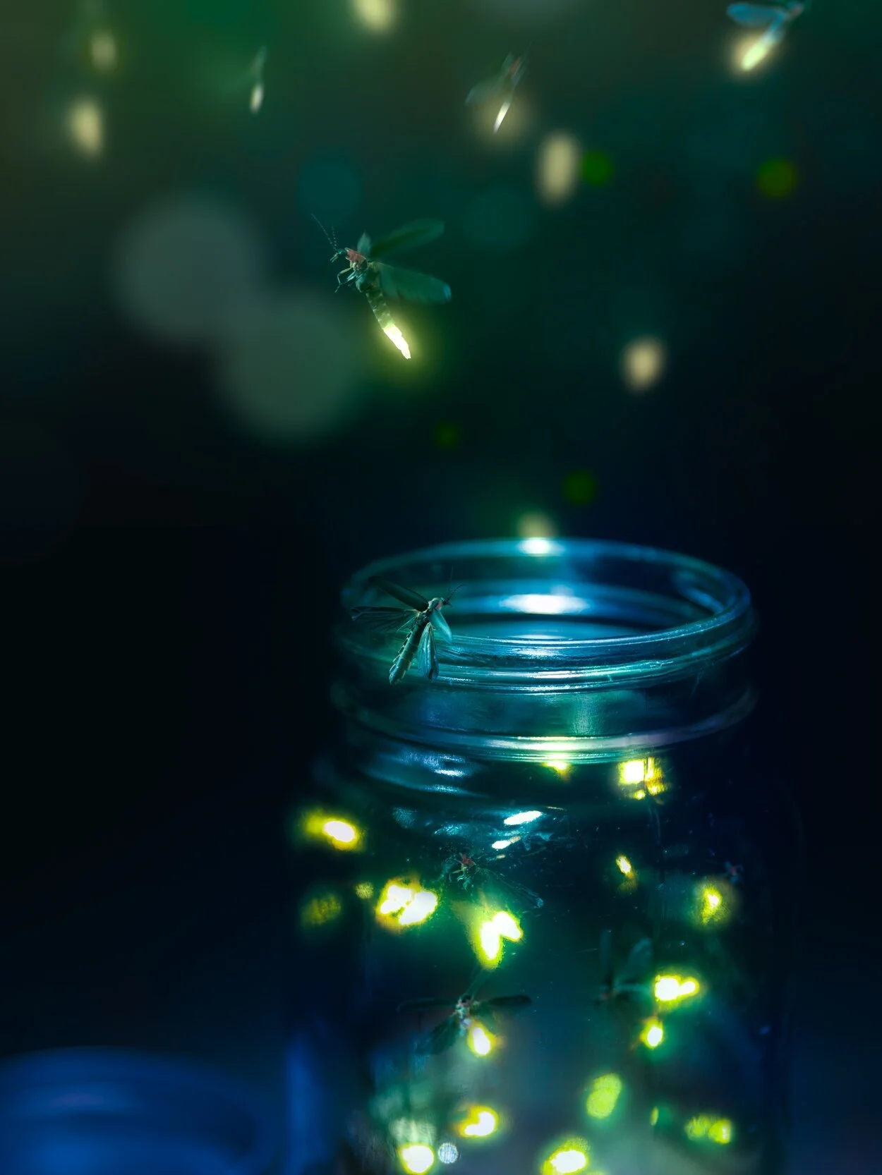 fireflies-shutterstock_1172936470+%281%29.jpg