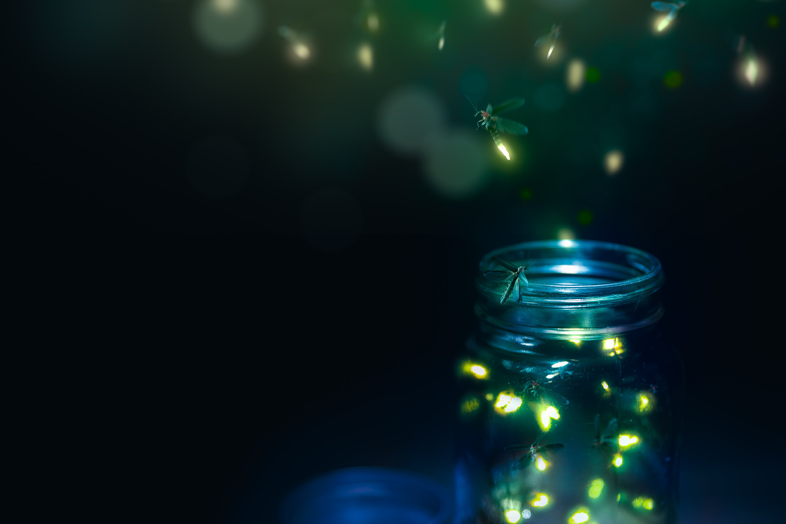 fireflies-shutterstock_1172936470 (1).jpg