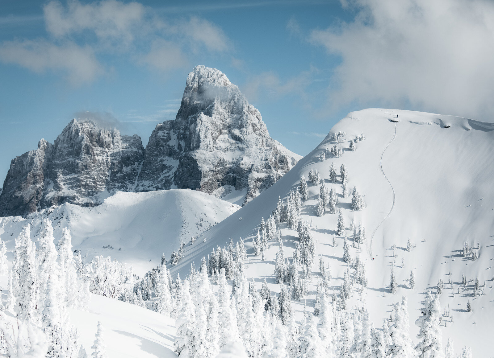 144A2615-Edit-Edit.jpg