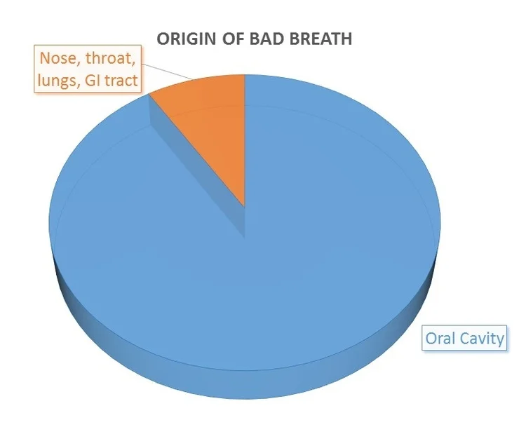 Bad_breath_origin.jpg