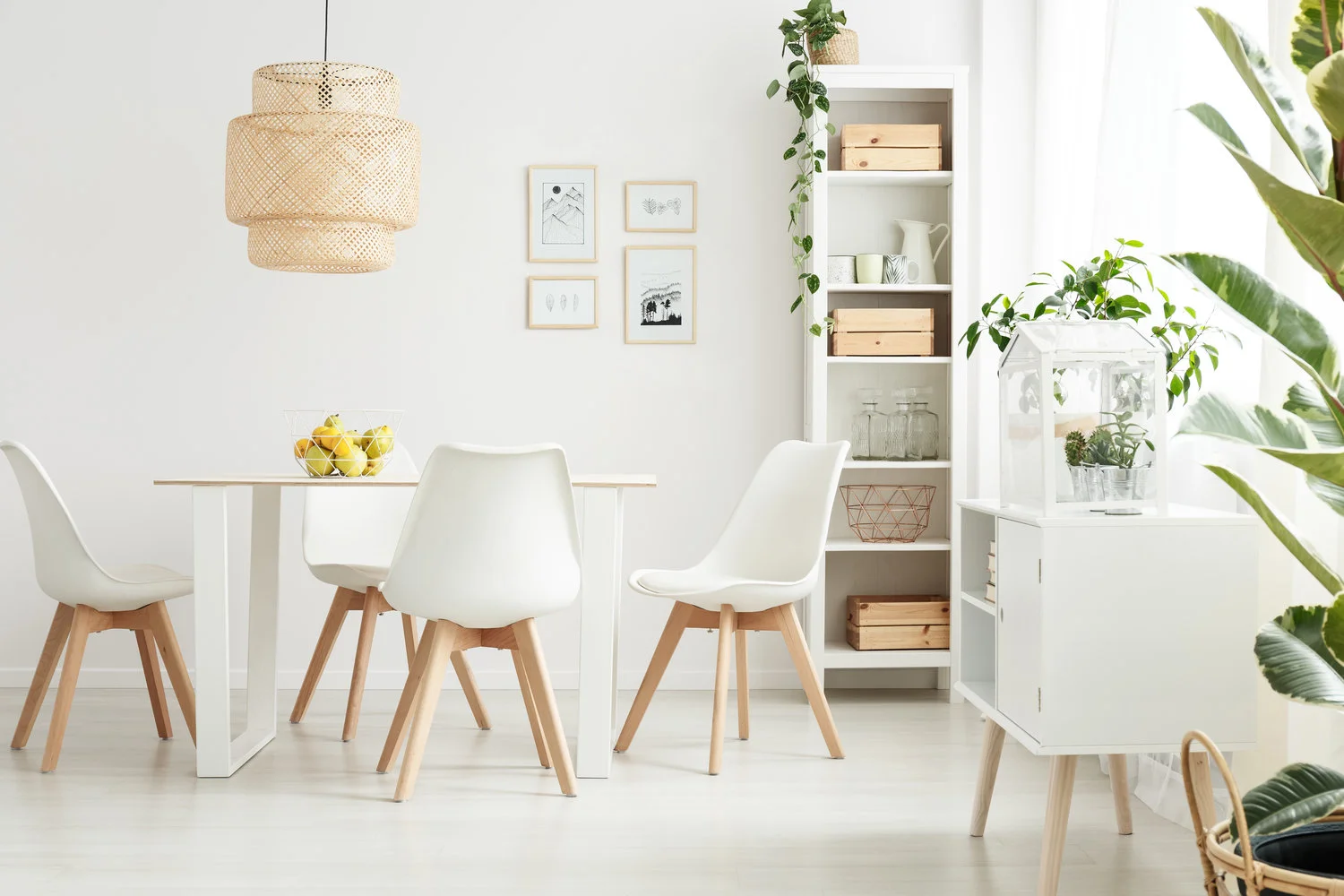 AdobeStock_188671718.jpg